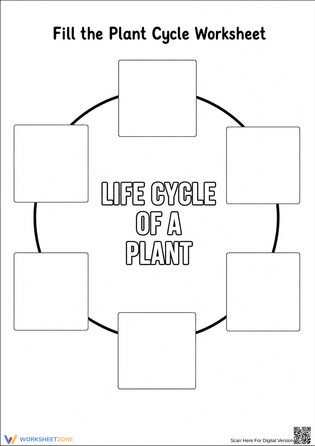 Grade 3 Plant Life Cycle — Printable No-Prep Worksheet - Page 1