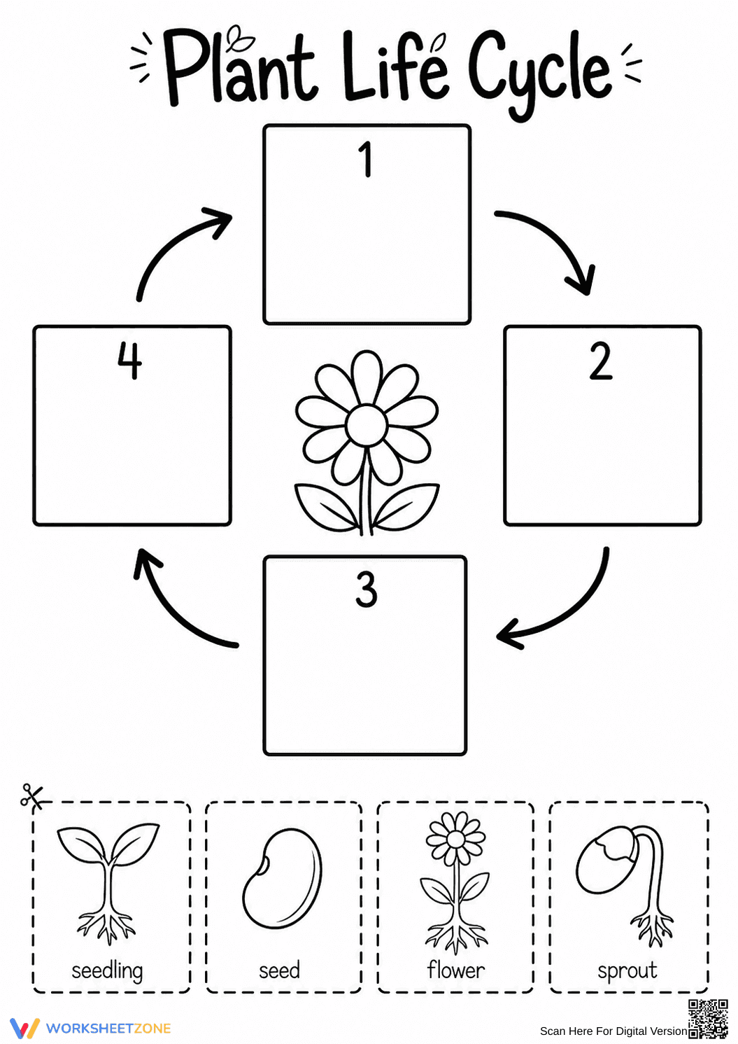 Grade 3 Plant Life Cycle — Printable No-Prep Worksheet - Page 1