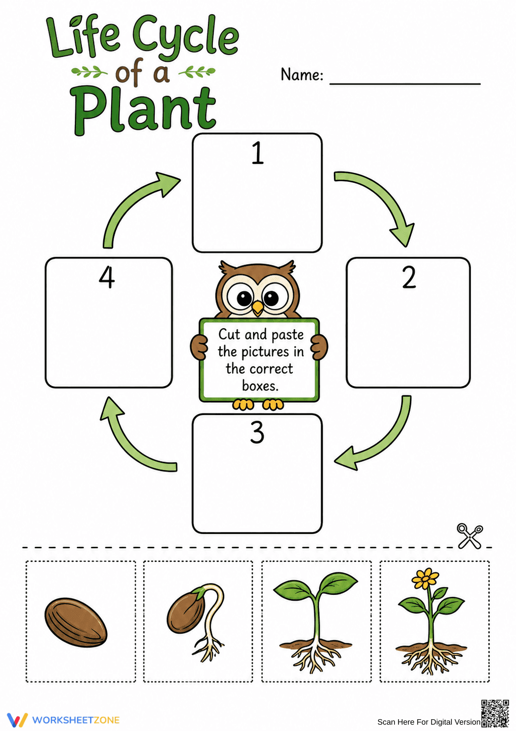 Printable Plant Life Cycle Worksheet | Grade 3 Science - Page 1