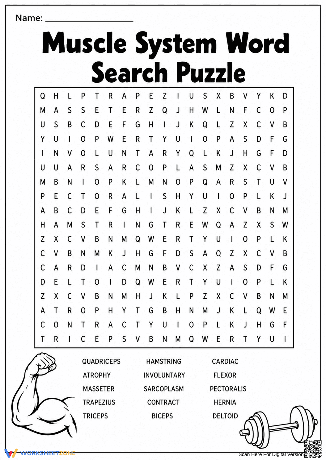 Essential Muscle System Word Search | Grade 7-9 Science - Page 1