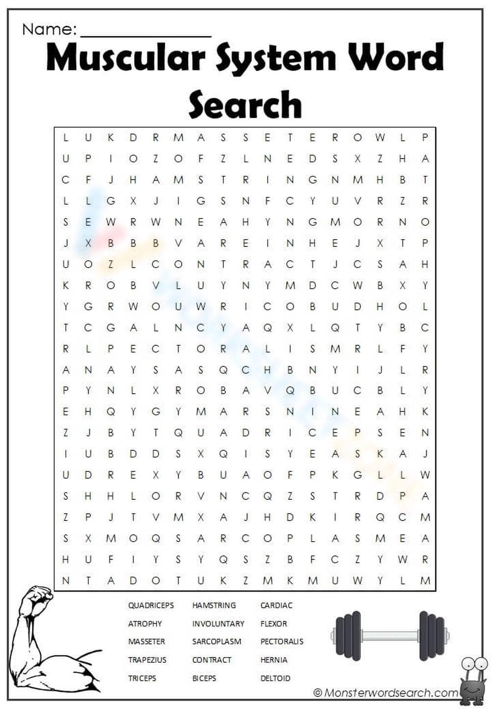 Muscle System Word Search Puzzle - Page 1
