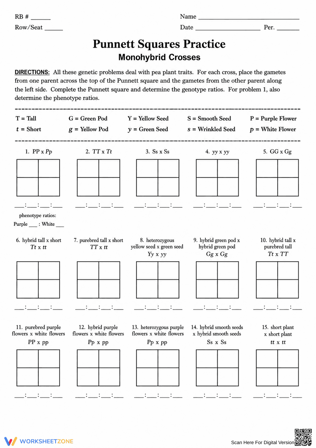 Printable Punnett Square Worksheet | Grade 9 Biology - Page 1