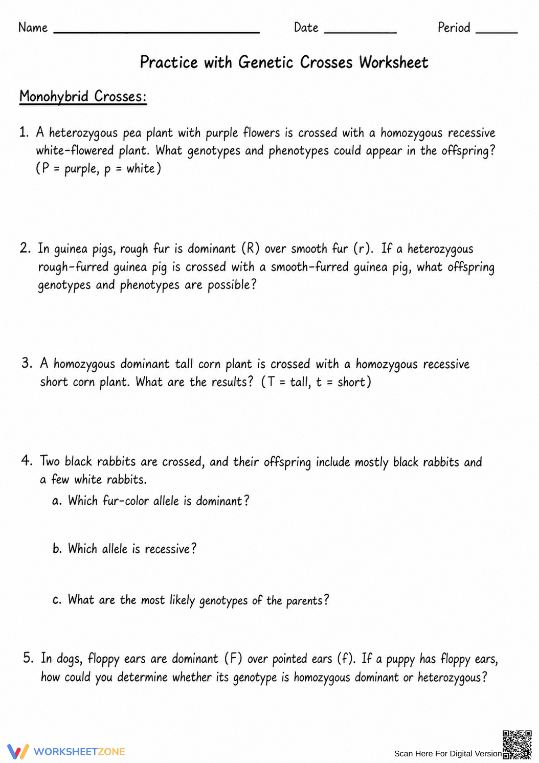 Genetic Crosses Practice Worksheet | Essential Biology - Page 1