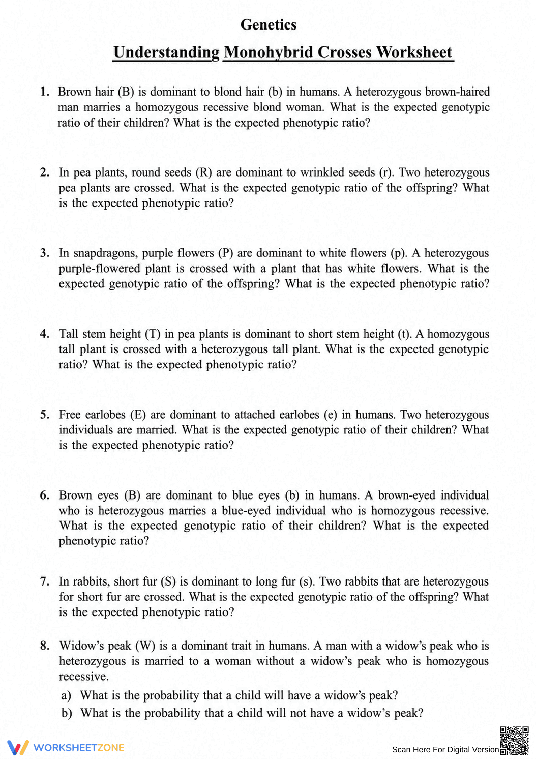 Printable Monohybrid Crosses Worksheet | Grade 9 Biology - Page 1