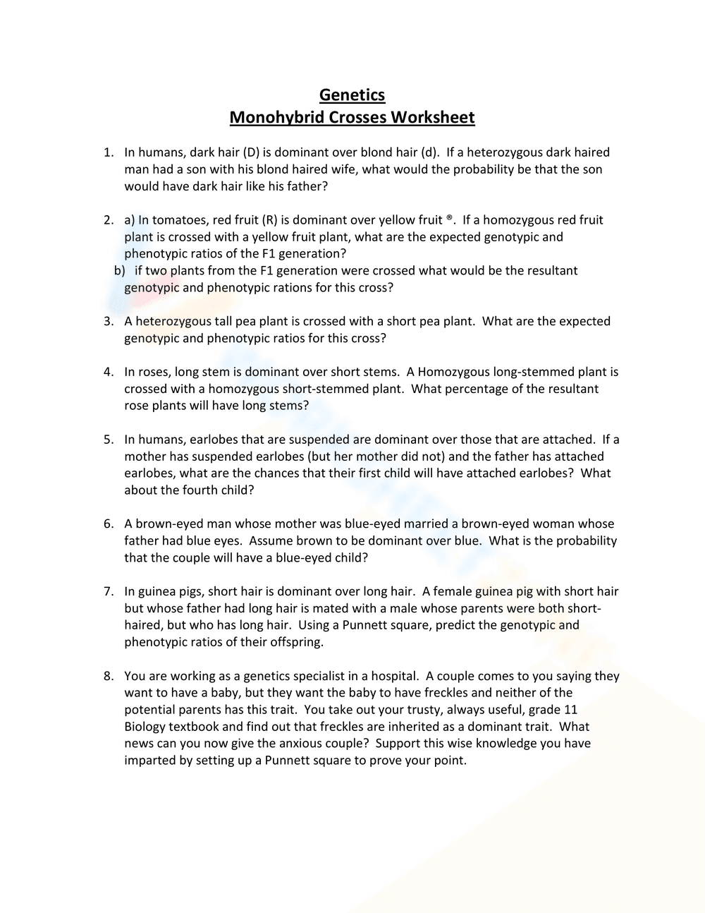 Understanding Monohybrid Crosses Worksheet - Page 1