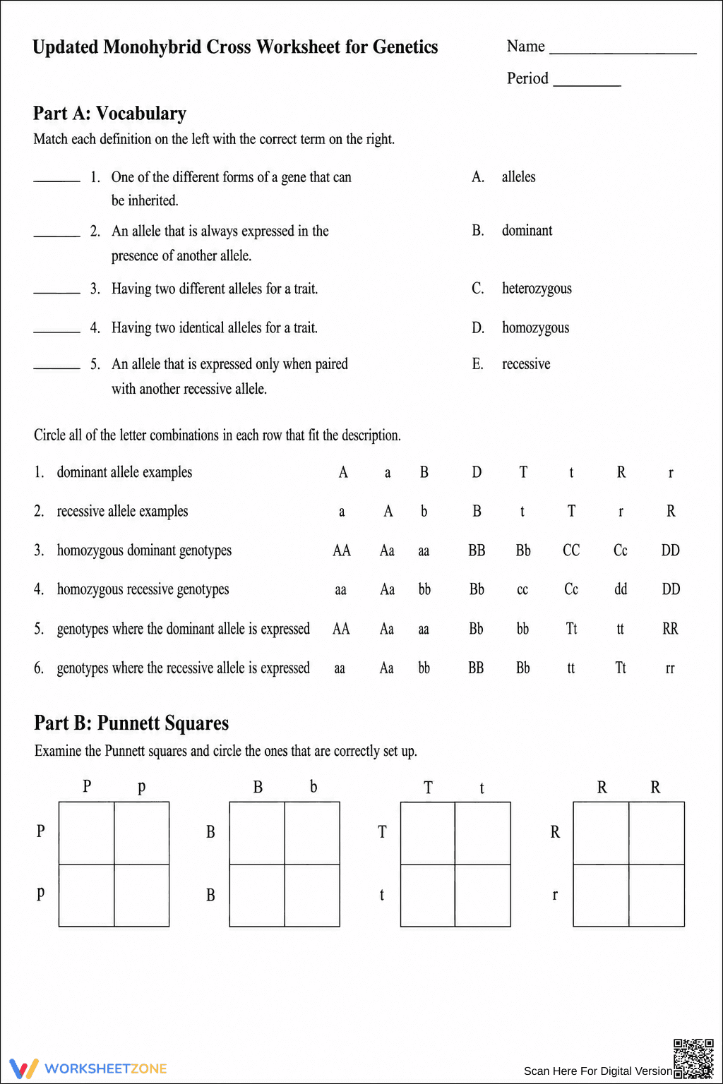 Essential Monohybrid Cross Worksheet | Grade 9-12 Biology - Page 1