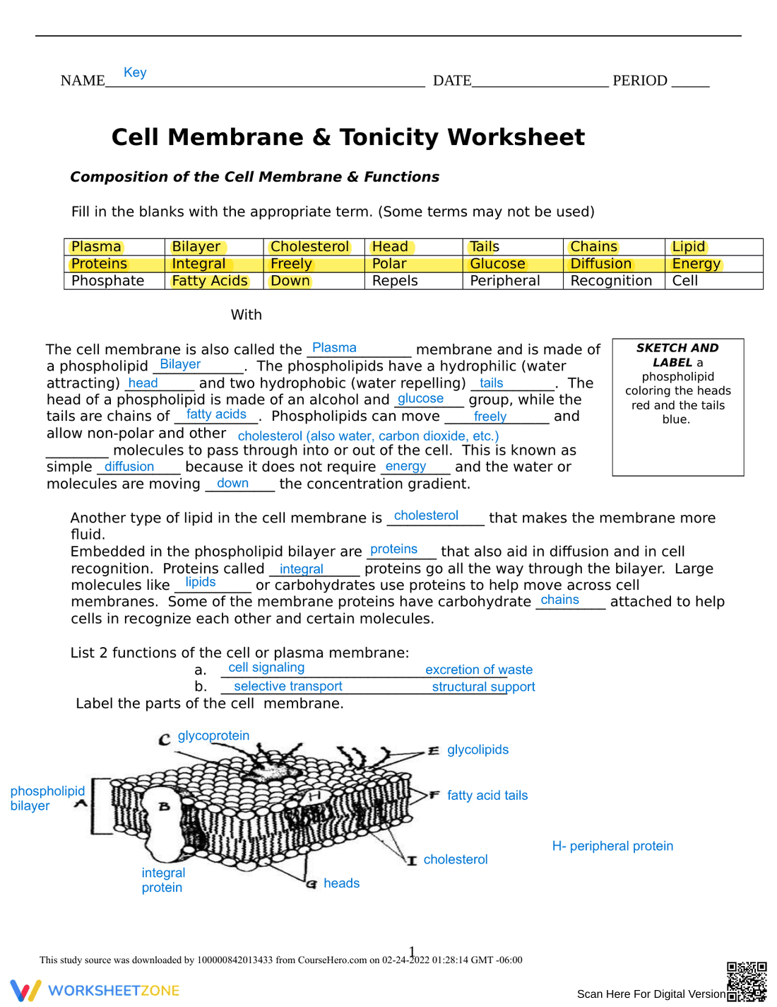 Explore Cell Membrane and Tonicity - Page 1