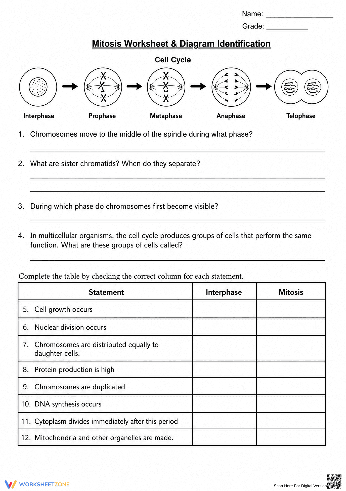 Printable Mitosis Worksheet | Grade 9-12 Cell Cycle - Page 1