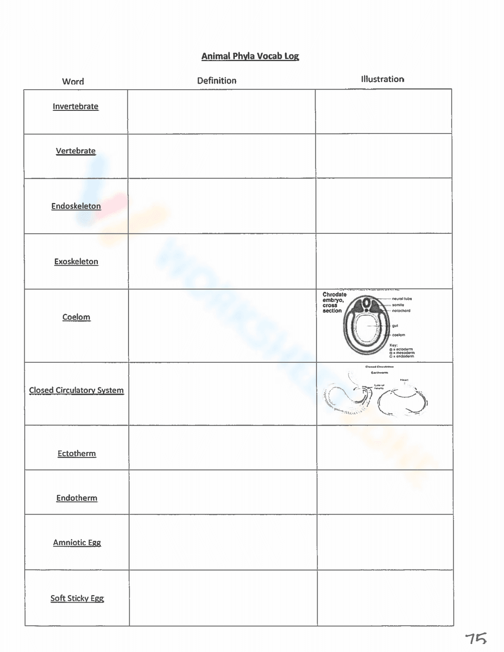 Animal Phyla Vocab Log | Essential Biology Worksheet - Page 1