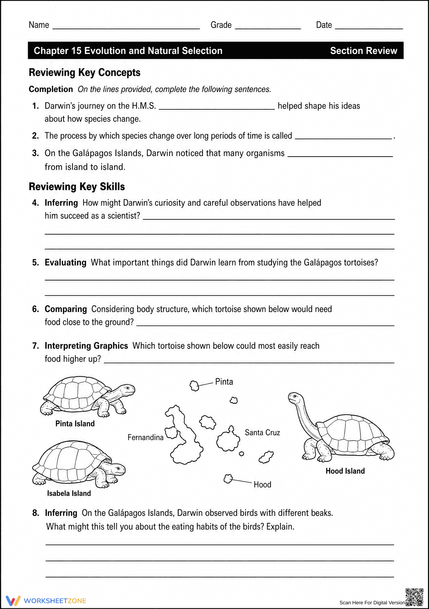 Essential Theory of Evolution Worksheet | Grade 7-9 - Page 1