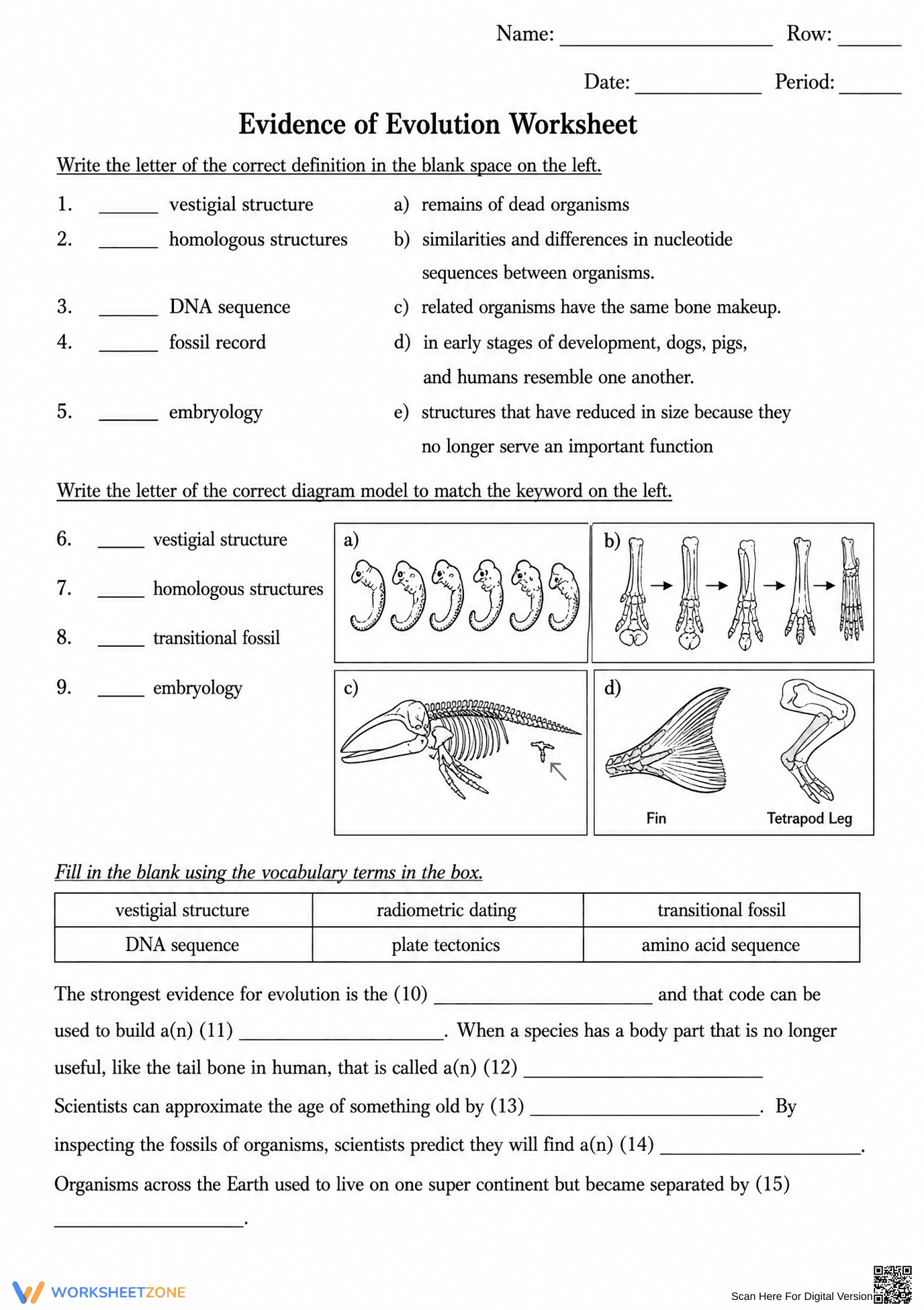 Essential Evidence of Evolution Worksheet | Grade 9-12 - Page 1
