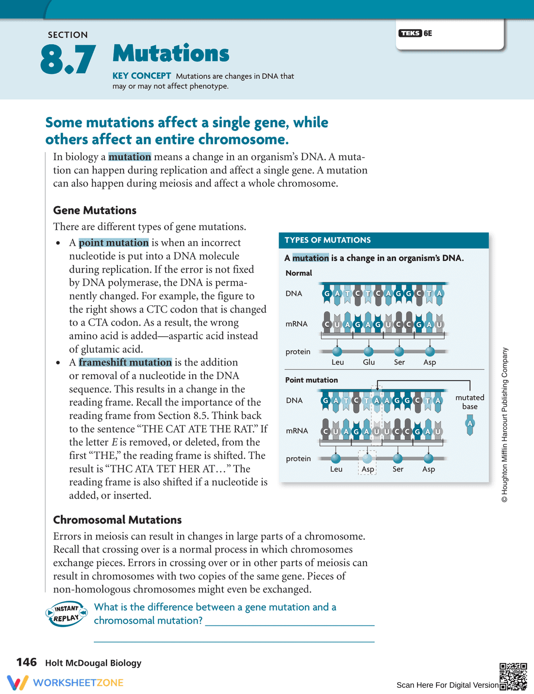 Understanding Mutations Worksheet - Page 1