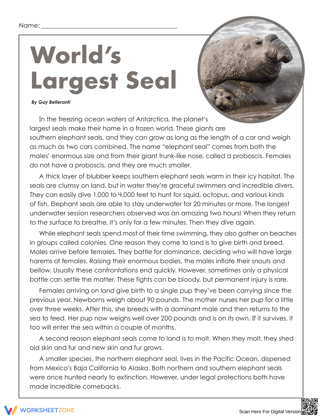 World's Largest Seal Worksheet | Grade 7-9 Essential - Page 1