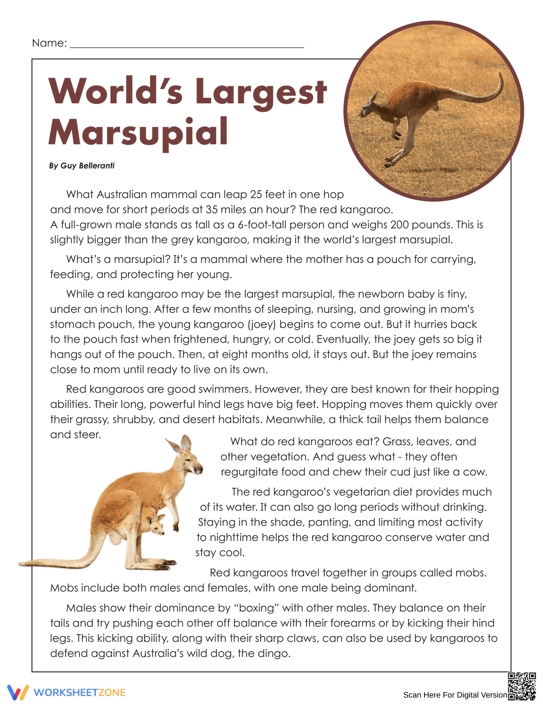World's Largest Marsupial Worksheet | Grade 7-9 Essential - Page 1