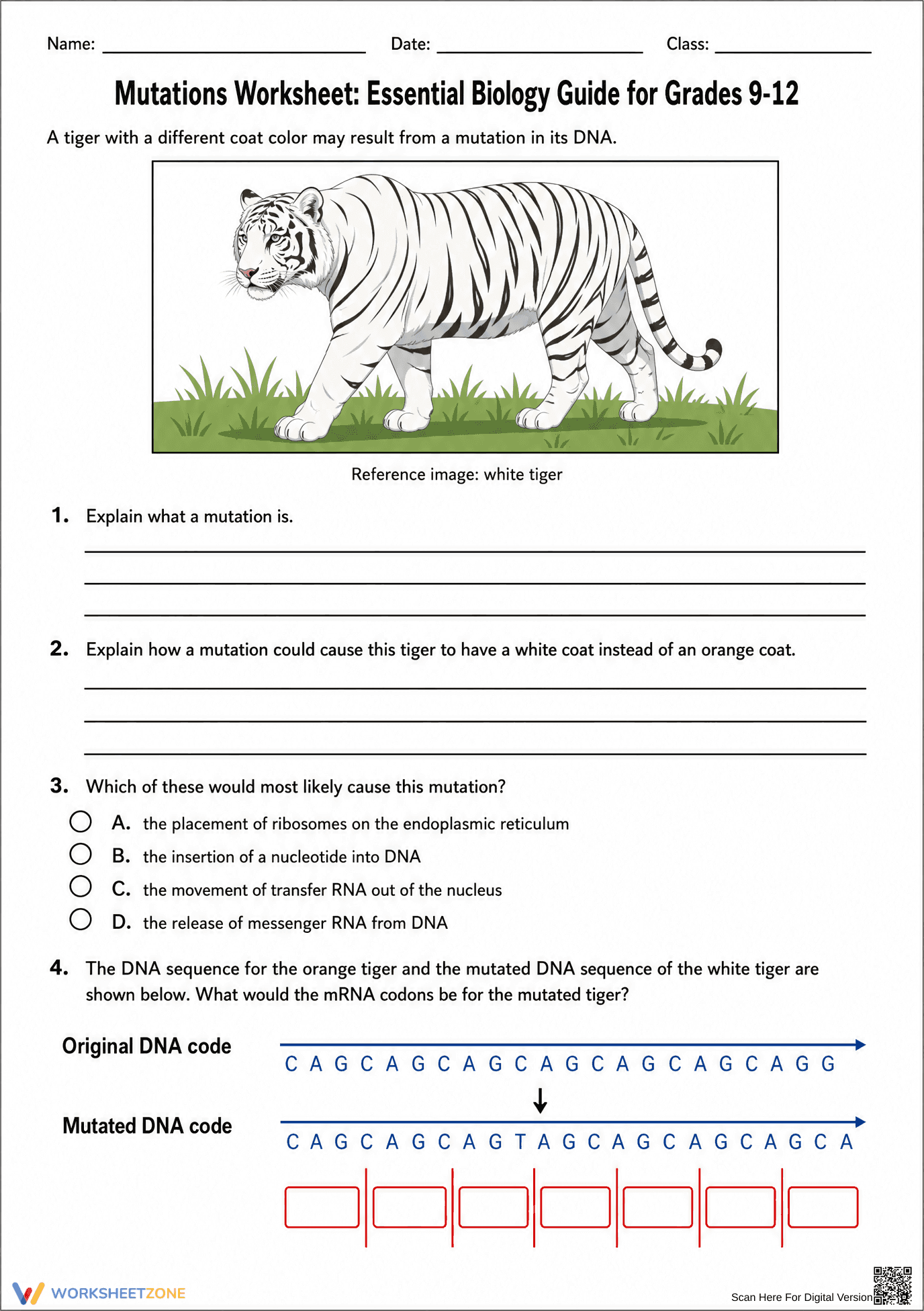 HS-LS3-2 Worksheet: Genetic Mutations — Grade 9-12 Aligned - Page 1