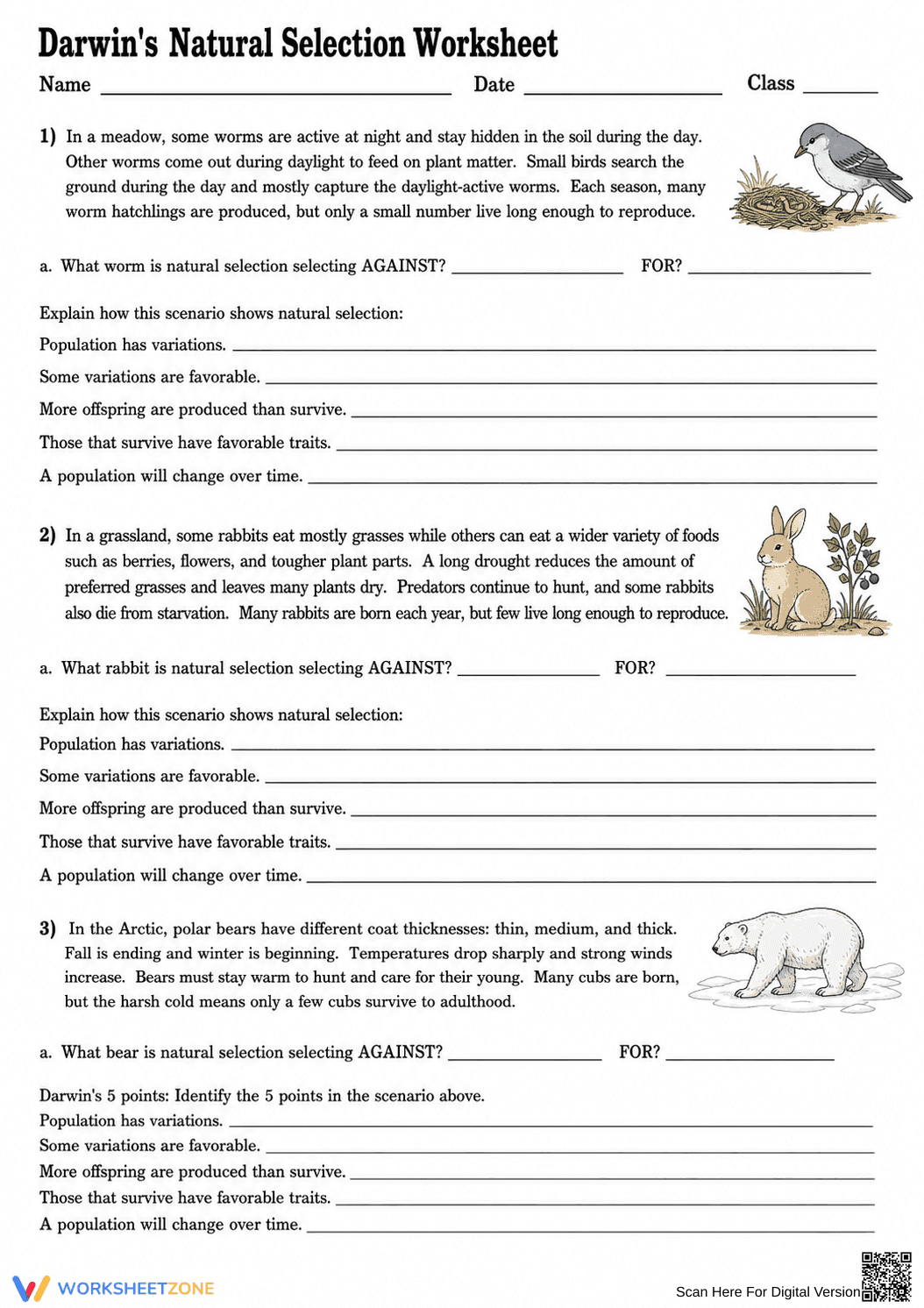 Darwin's Natural Selection Worksheet | Essential Biology - Page 1
