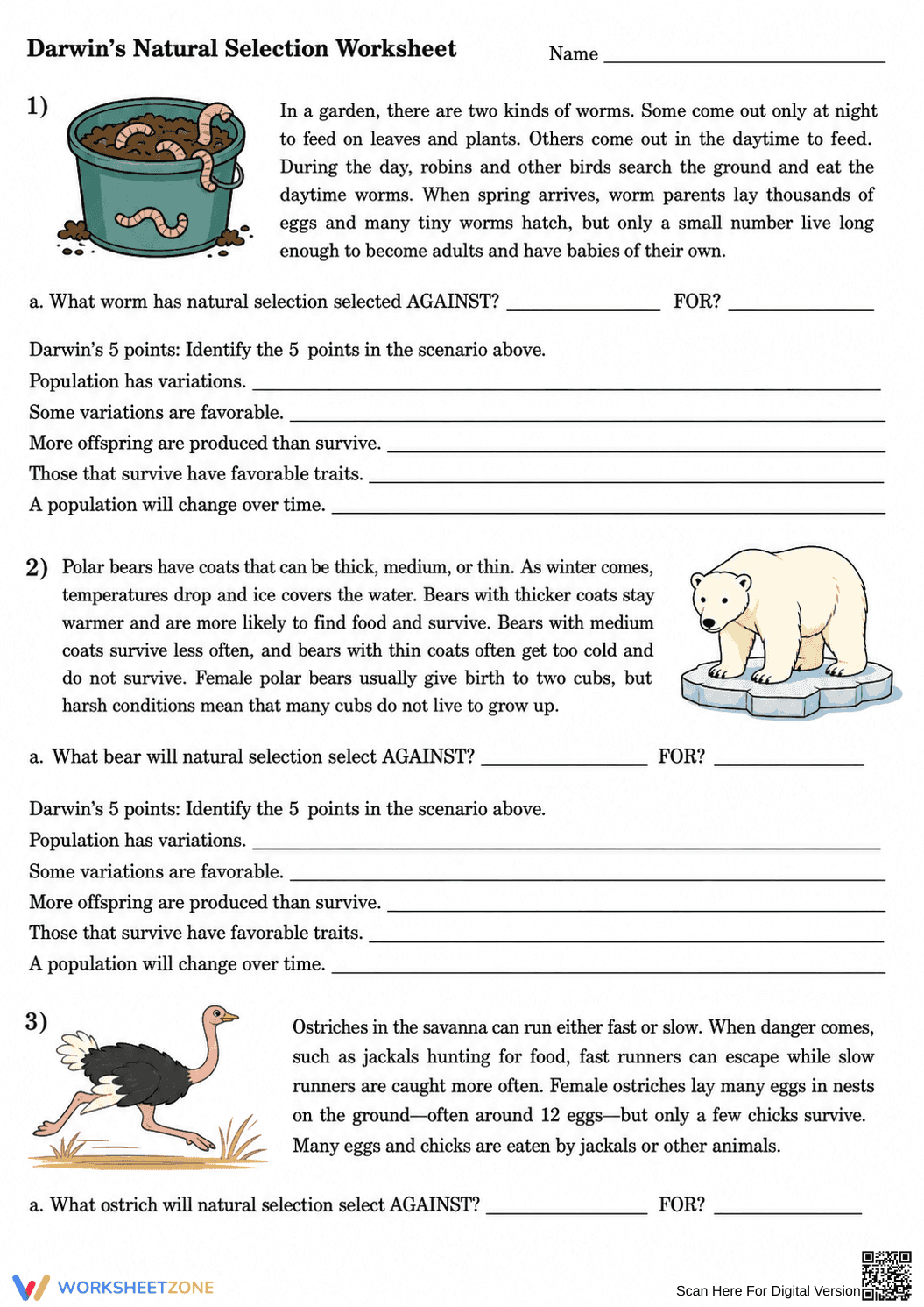 Darwin's Natural Selection Printable | Grade 8 Science - Page 1