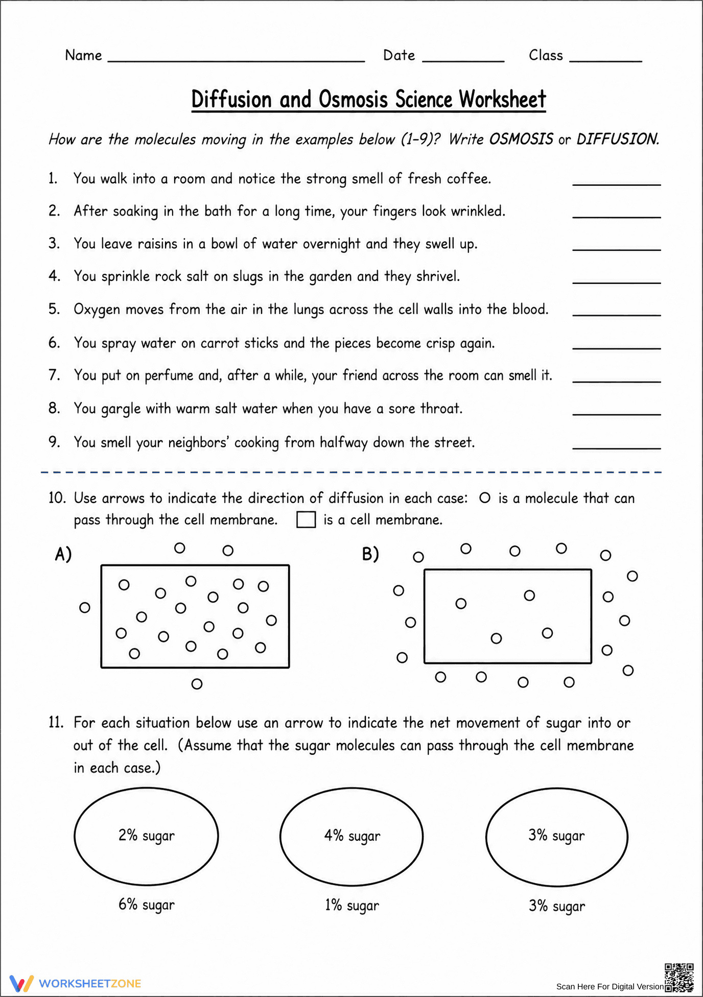 Grade 9 Diffusion and Osmosis — Printable No-Prep Worksheet - Page 1