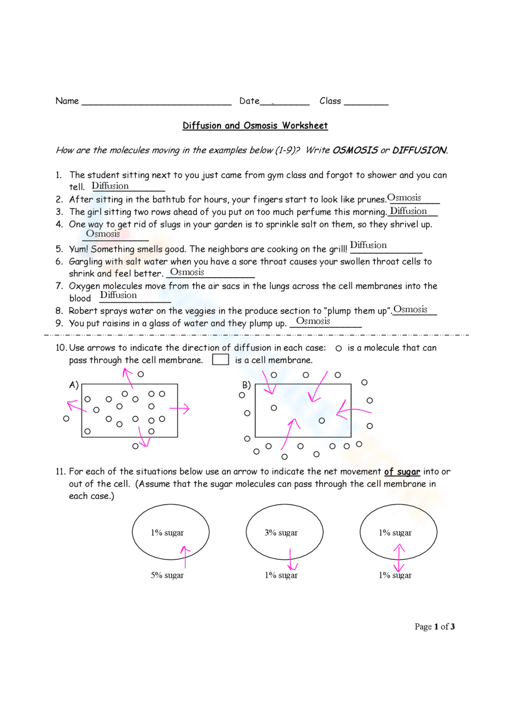 Diffusion and Osmosis Science Worksheet - Page 1