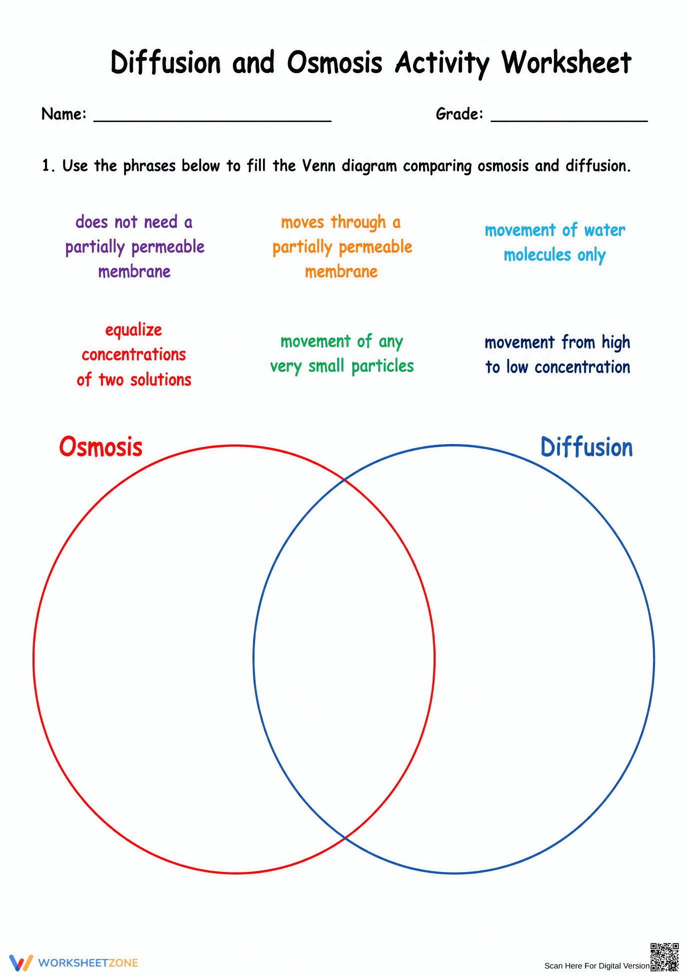 Essential Diffusion and Osmosis Worksheet | Grade 8-12 - Page 1