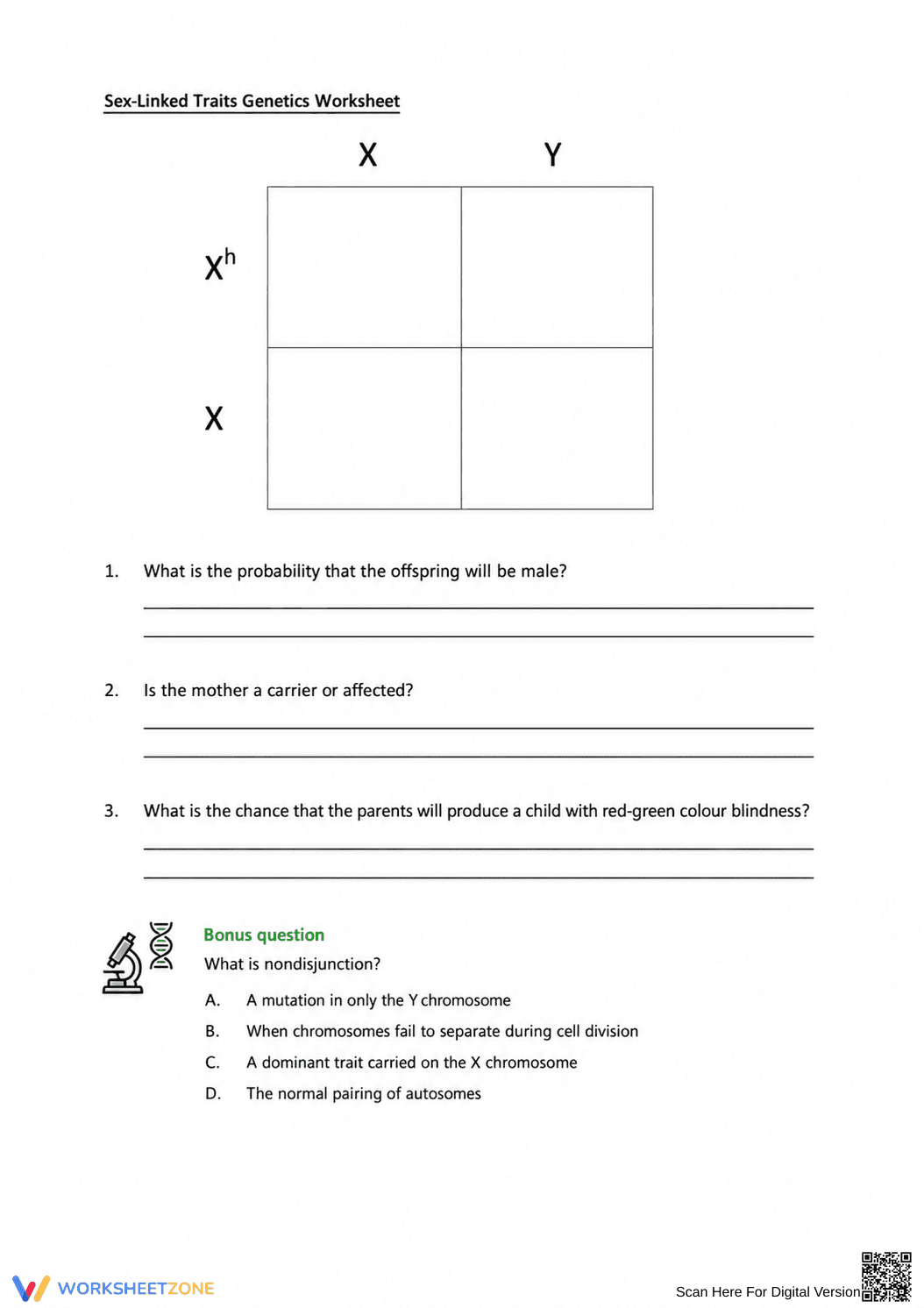 Sex-Linked Traits Worksheet | Essential Grade 9-12 Biology - Page 1