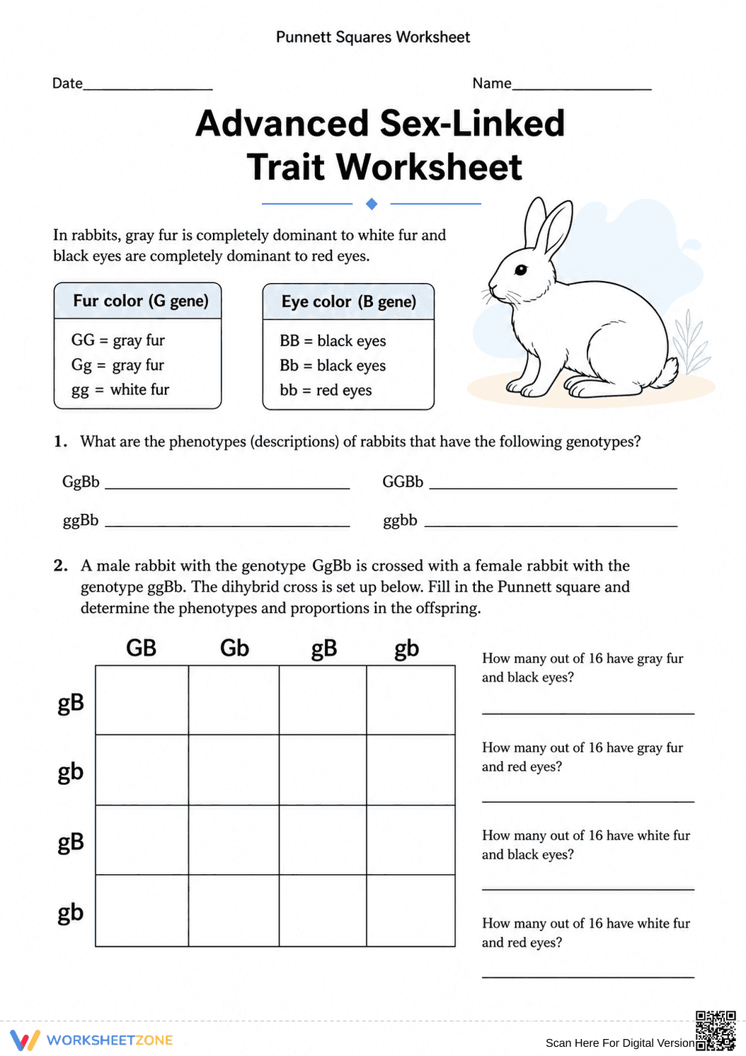 Printable Punnett Square Worksheet | Grade 9-12 Biology - Page 1