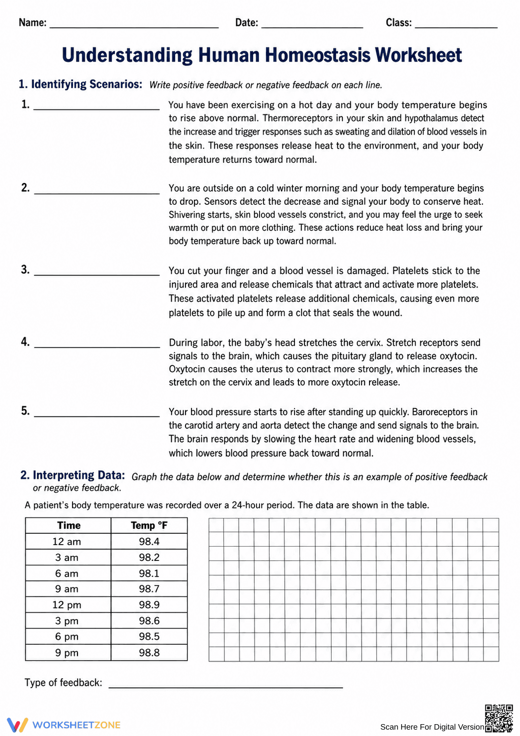 Essential Homeostasis Worksheet | Grade 9-12 Biology - Page 1