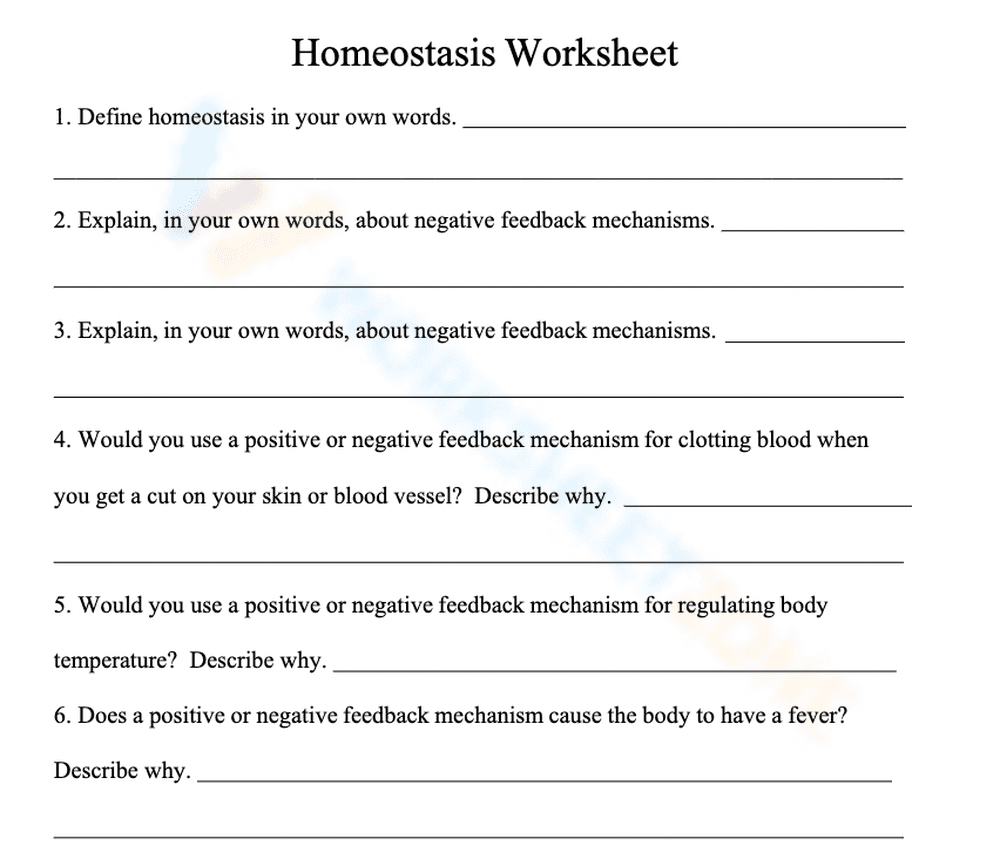 Homeostasis: Discover Body Balance - Page 1