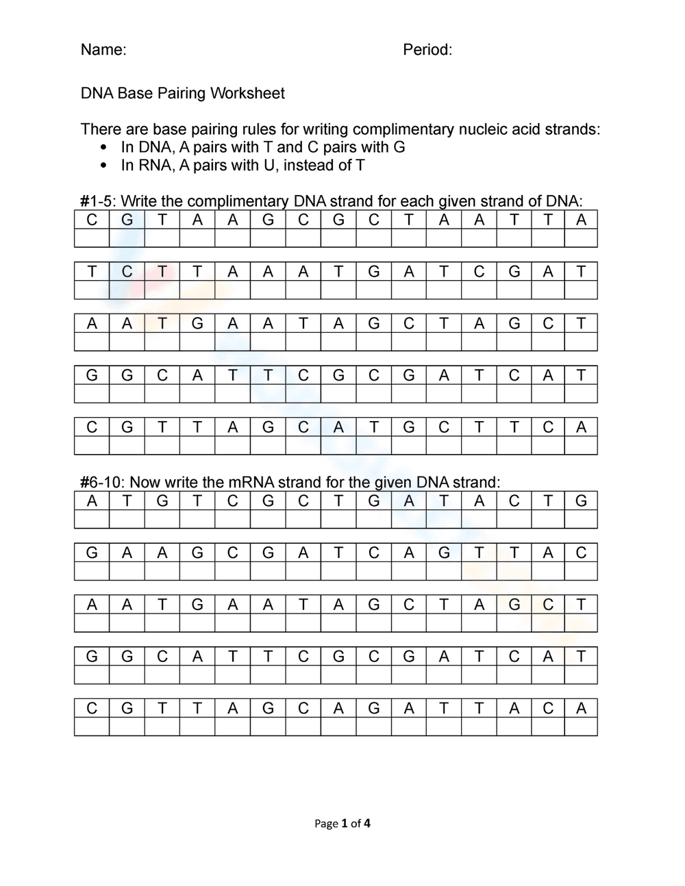 Worksheet of DNA Base Pairing Practice - Page 1
