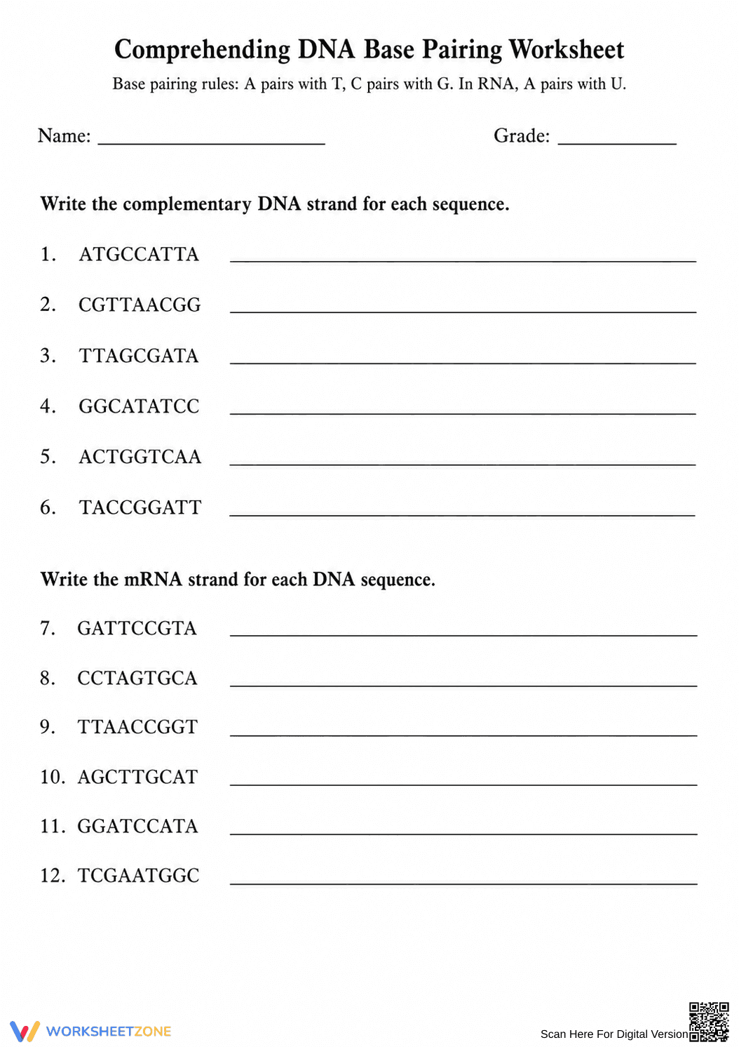 DNA Base Pairing Worksheet (3 Levels) | Grade 9-11 Ready - Page 1
