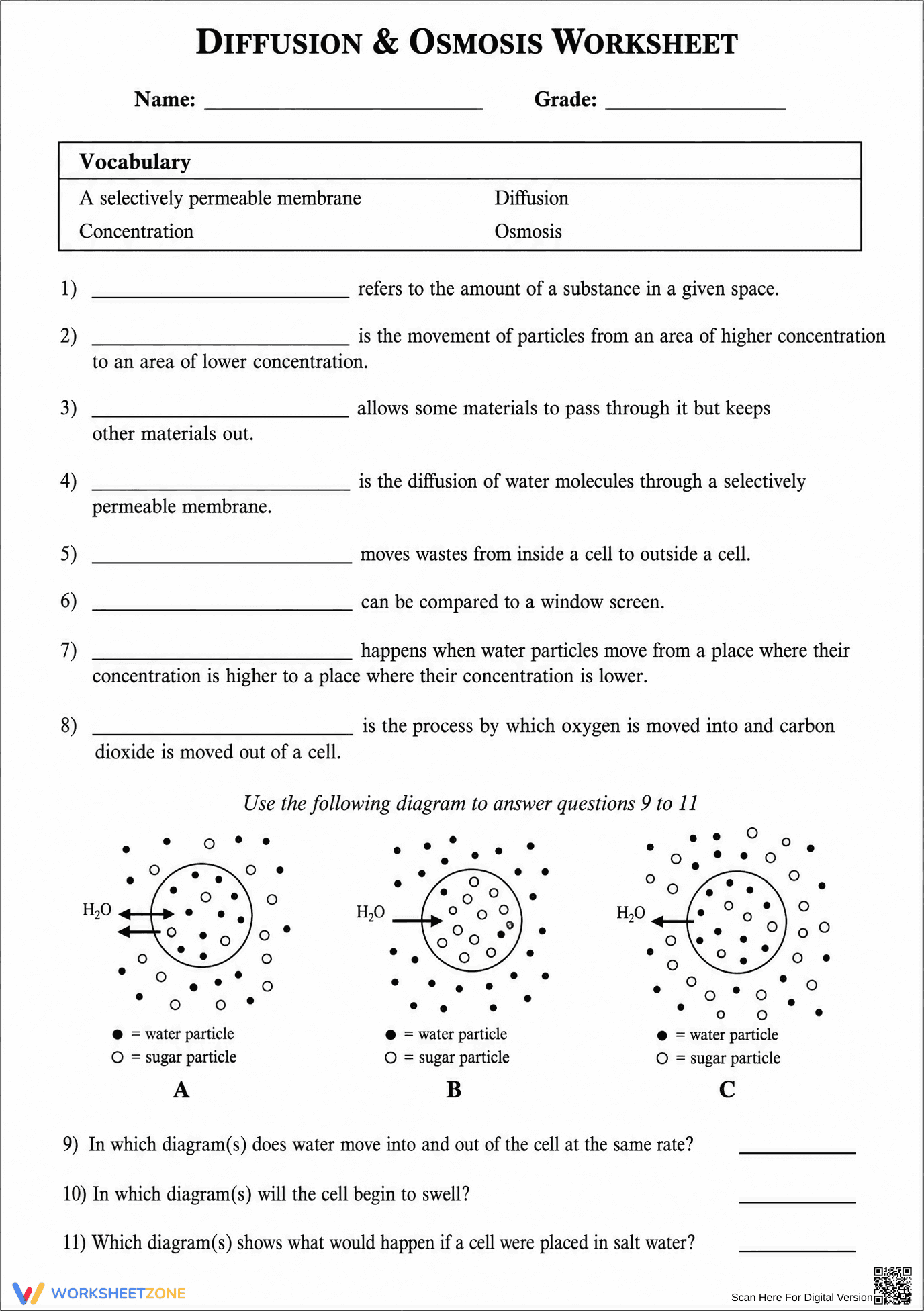 Grade 8 Diffusion & Osmosis — Printable No-Prep Worksheet - Page 1