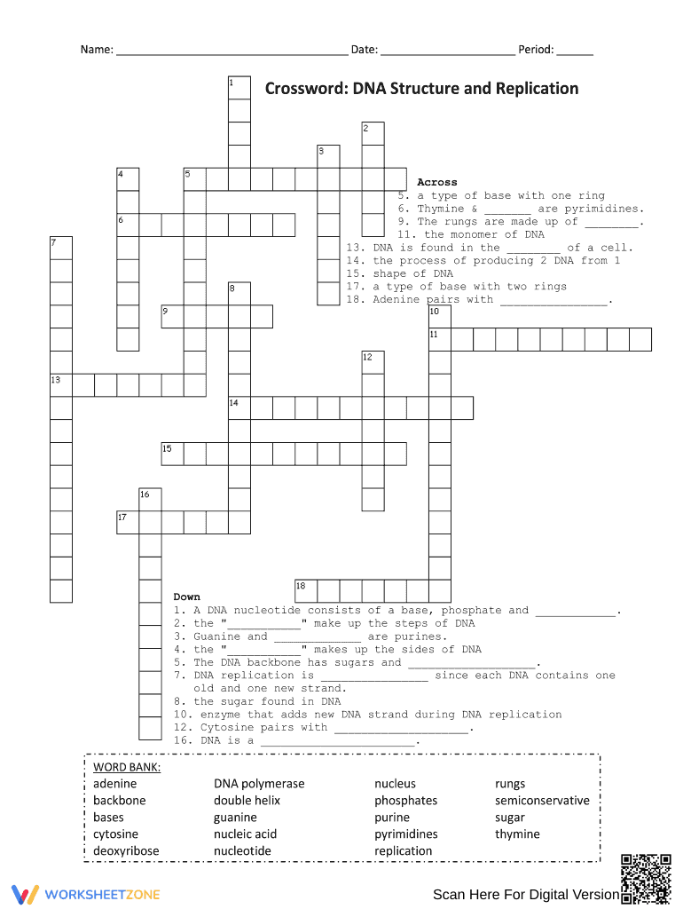 DNA Structure and Replication Crossword | Essential Biology - Page 1