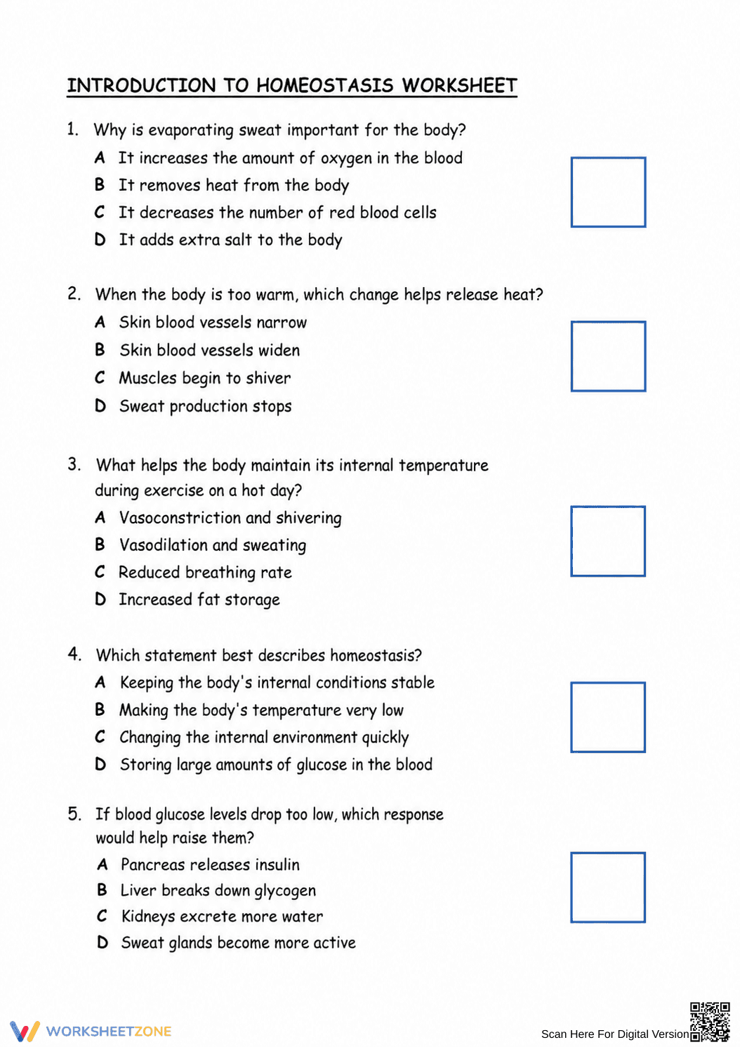 Essential Homeostasis Worksheet | Grade 9-12 Biology - Page 1