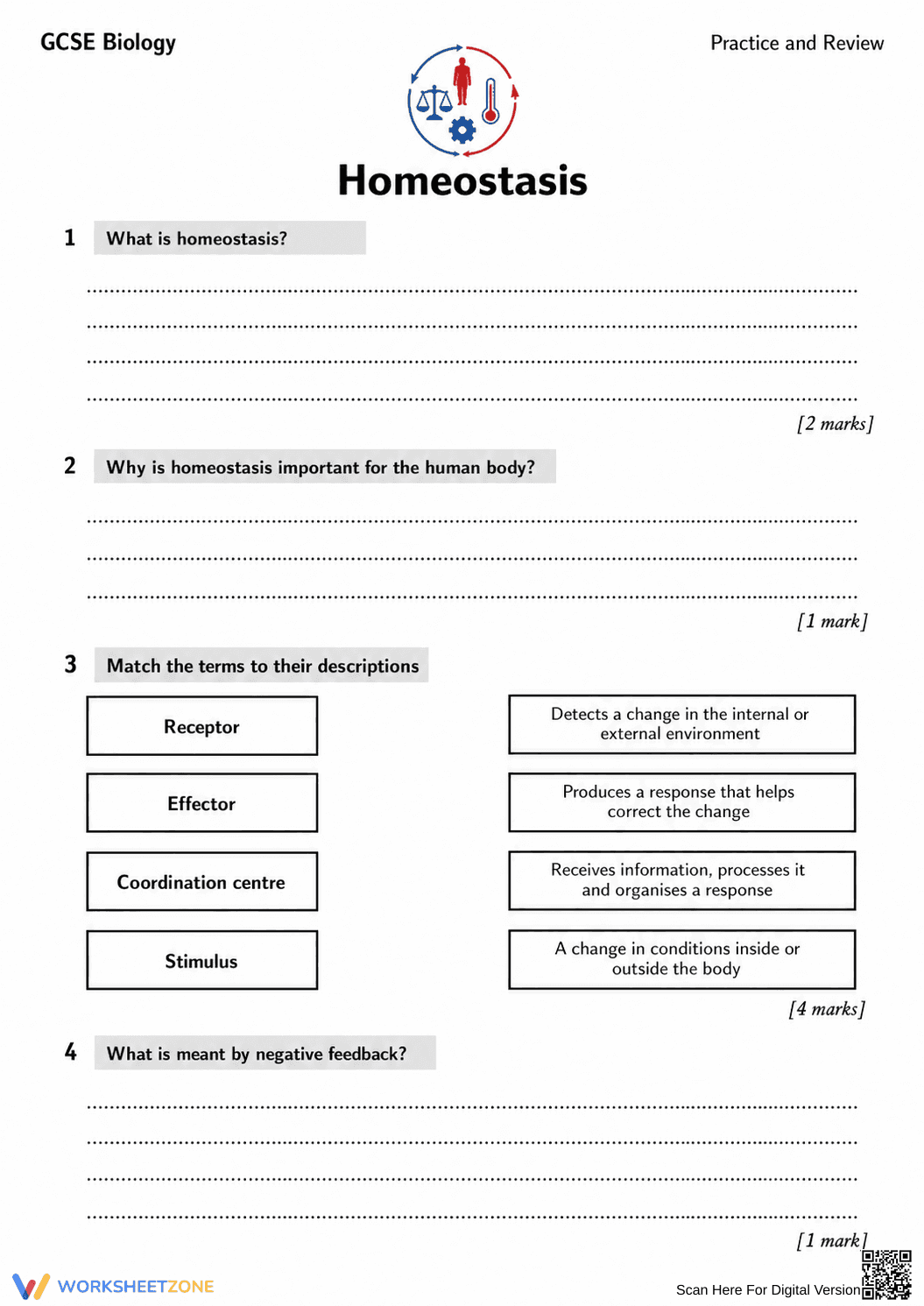 Printable Homeostasis Worksheet | Grade 9-10 Biology - Page 1