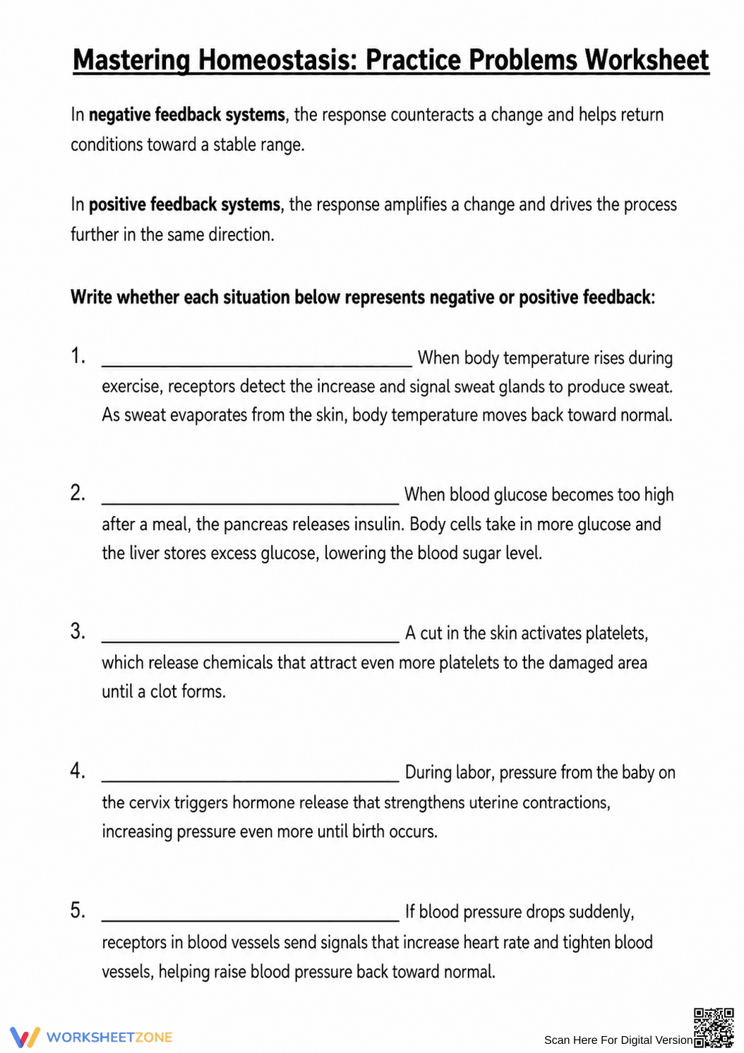 Homeostasis Feedback Loops Worksheet | Grade 9-12 Printable - Page 1