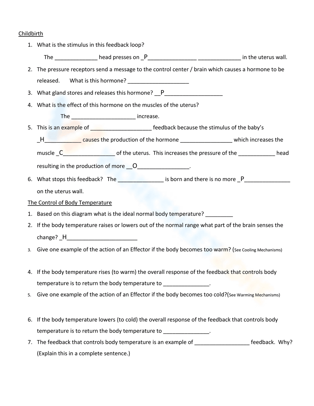 Homeostasis Worksheet: Biological Balance Practice - Page 1