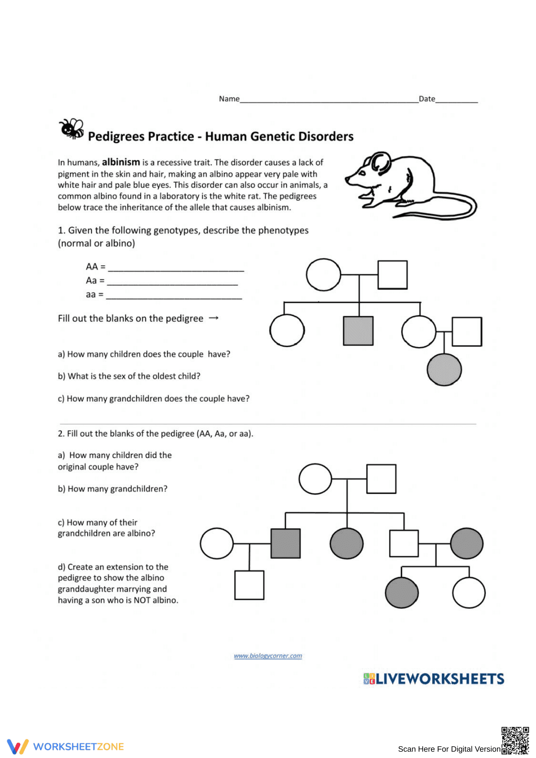 Genetics Practice: Pedigree Analysis Worksheet - Page 1