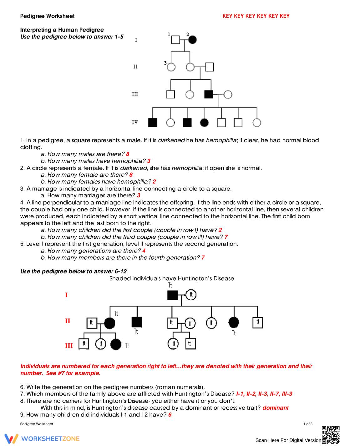 Updated Pedigree Analysis: Genetics Worksheet - Page 1