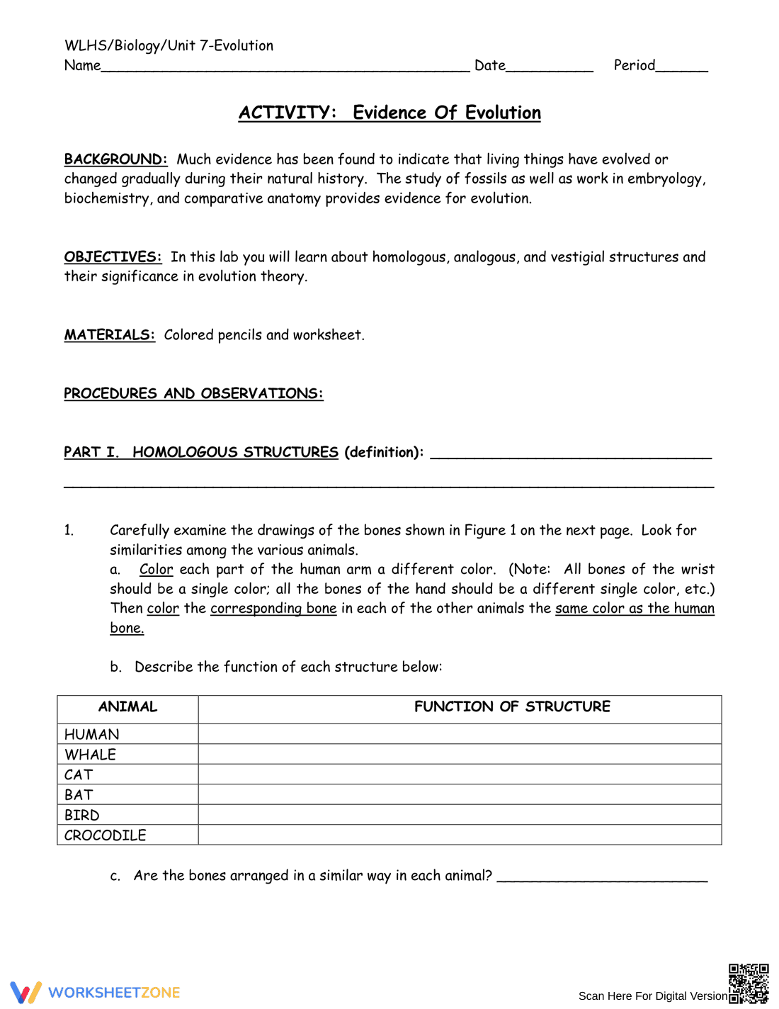 Activity on Evidence of Evolution - Page 1