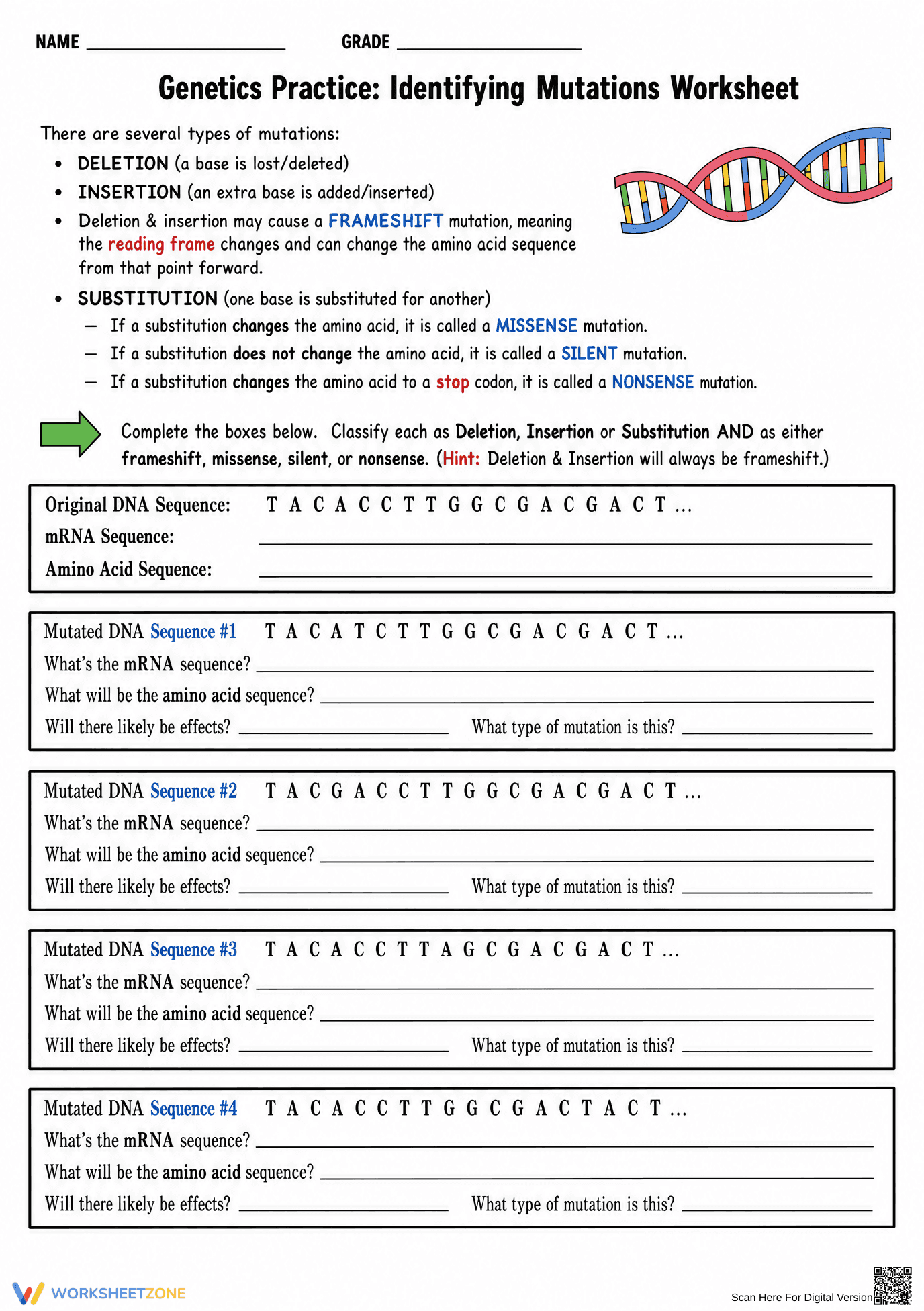 Identifying Mutations Worksheet | Grade 9-12 Printable - Page 1