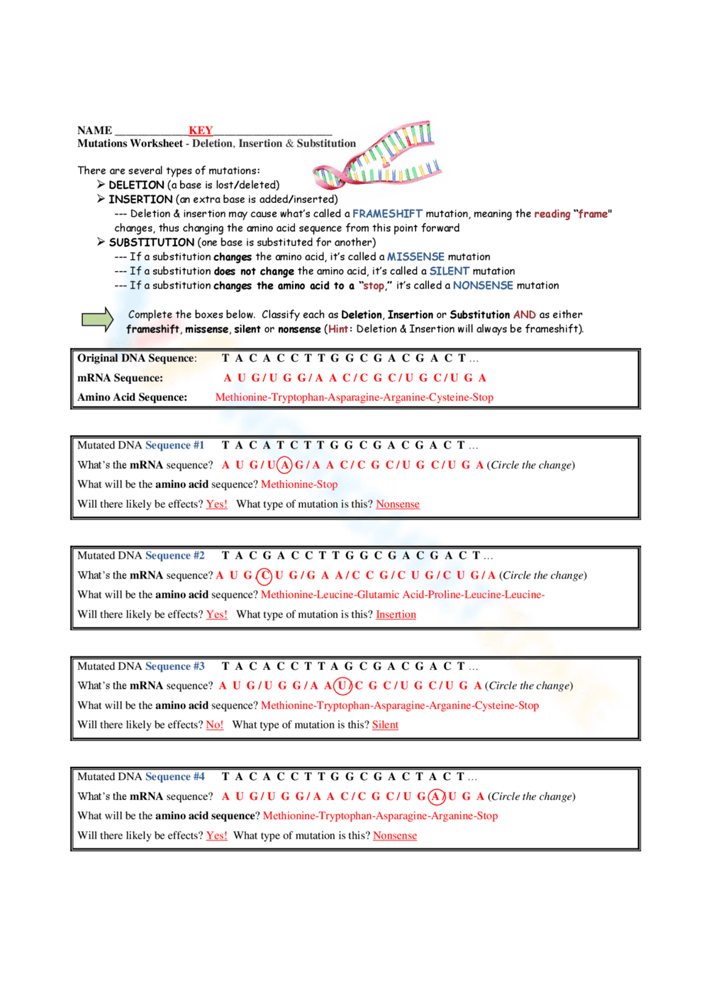 Mutation in Genetics: Understanding Worksheet - Page 1