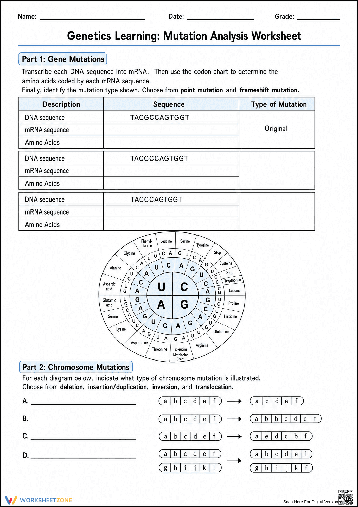 Essential Mutation Analysis Worksheet | Grade 8-12 Biology - Page 1