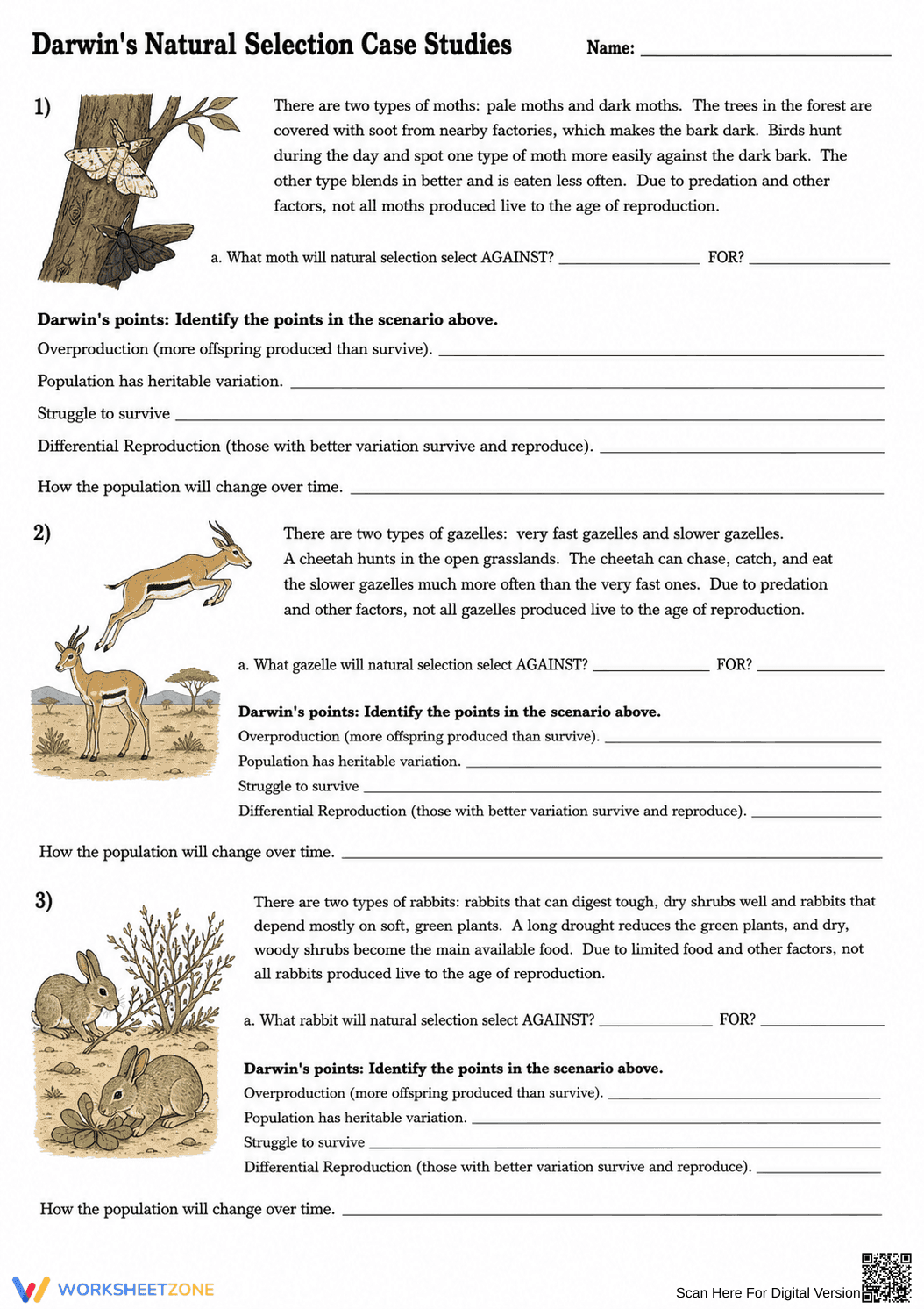Essential Natural Selection Case Studies | HS Biology - Page 1
