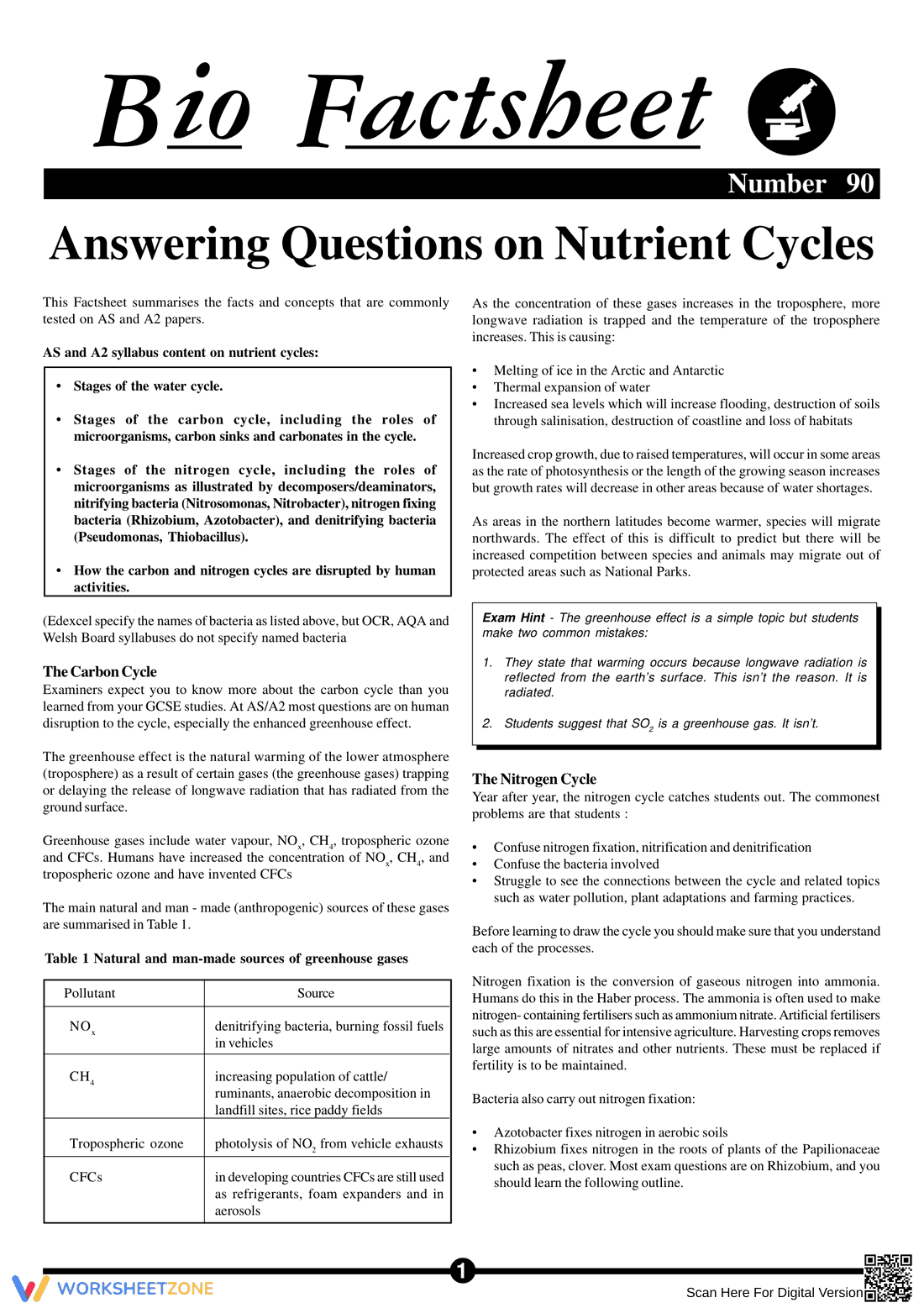 Answering Questions on Nutrient Cycles: Worksheet for Ecology - Page 1
