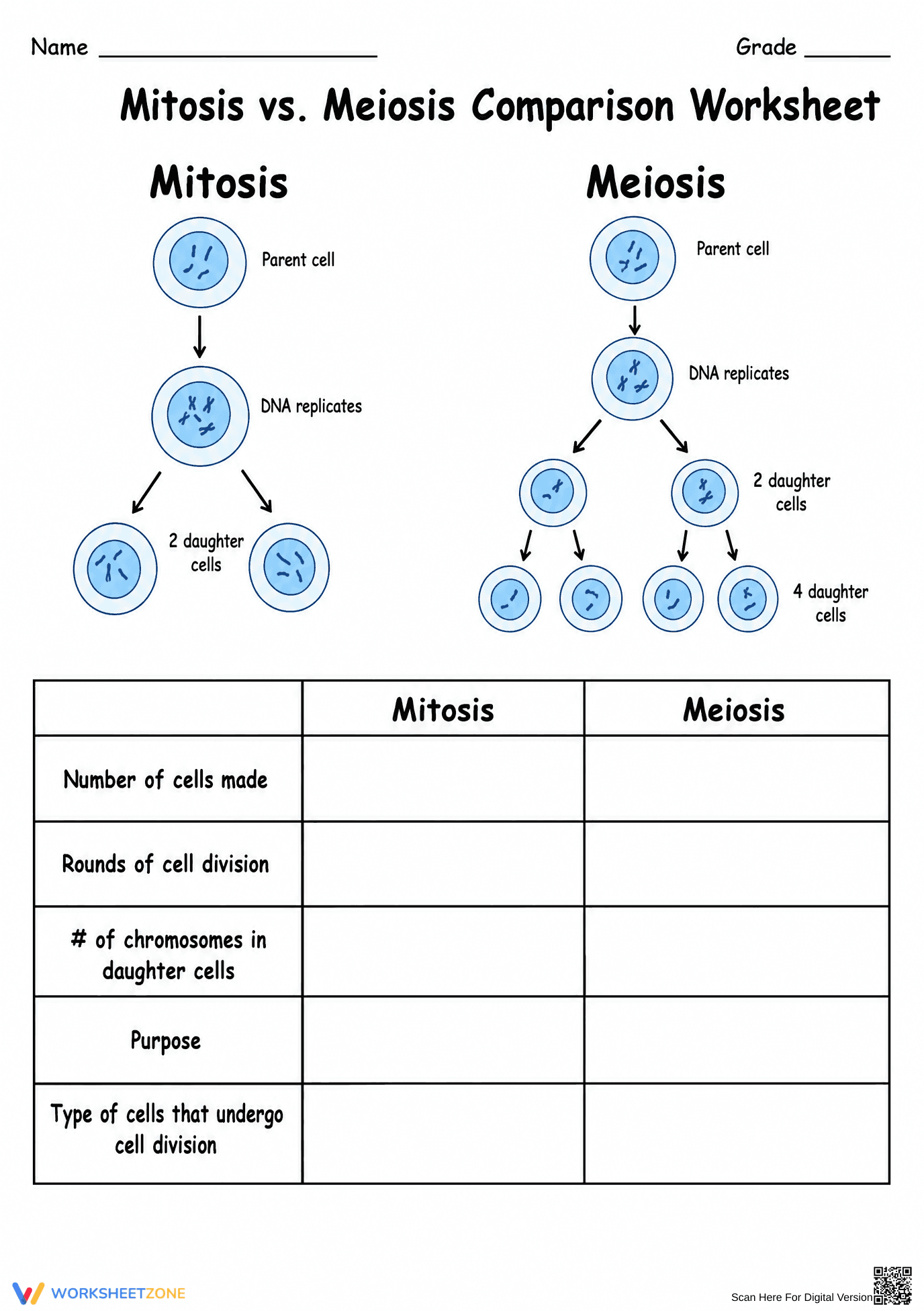 Printable Mitosis vs Meiosis Worksheet | Grade 9 Science - Page 1