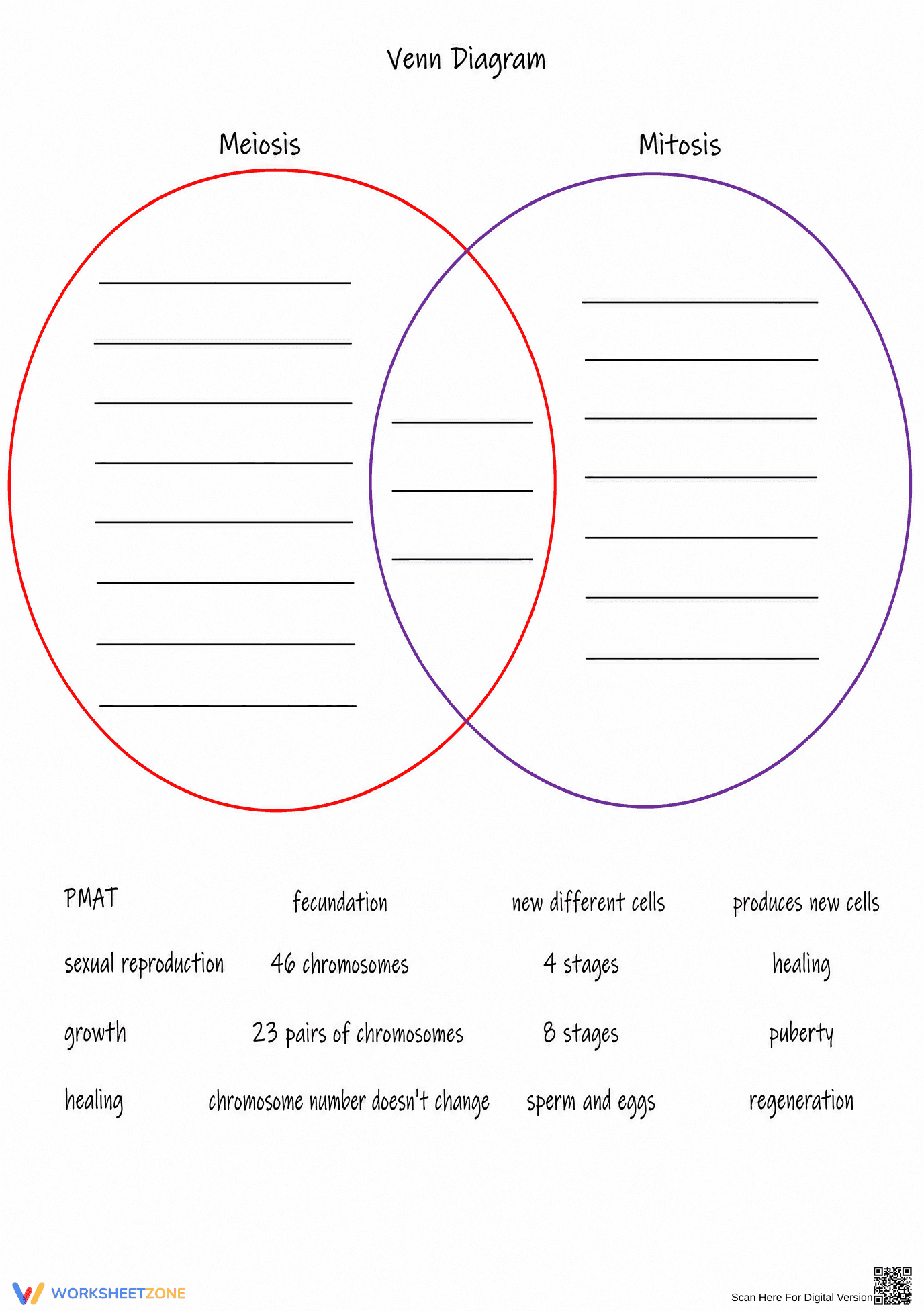 Essential Mitosis vs Meiosis Venn Diagram | Grade 9-12 - Page 1