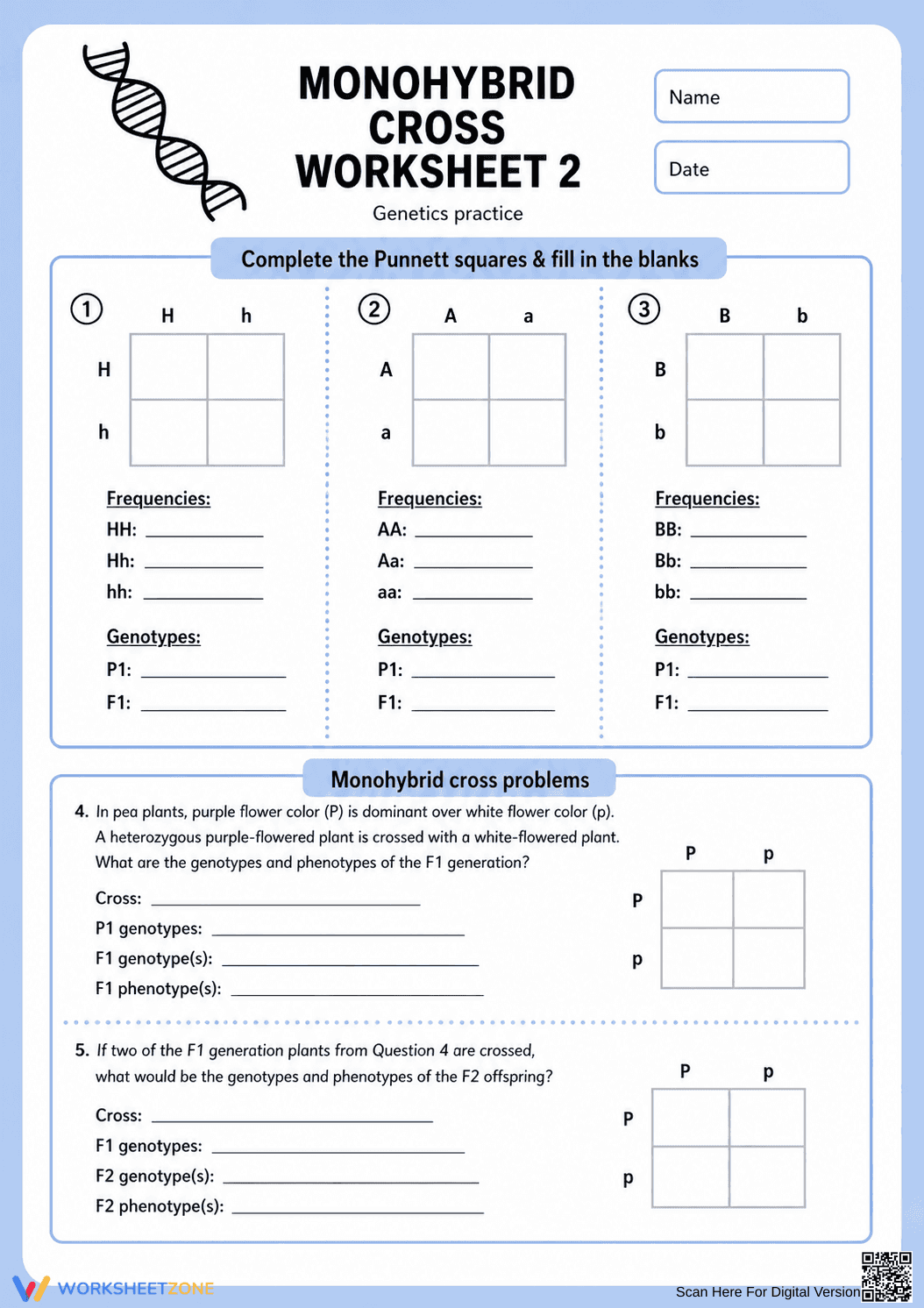 Printable Monohybrid Cross Worksheet | Grade 9 Biology - Page 1