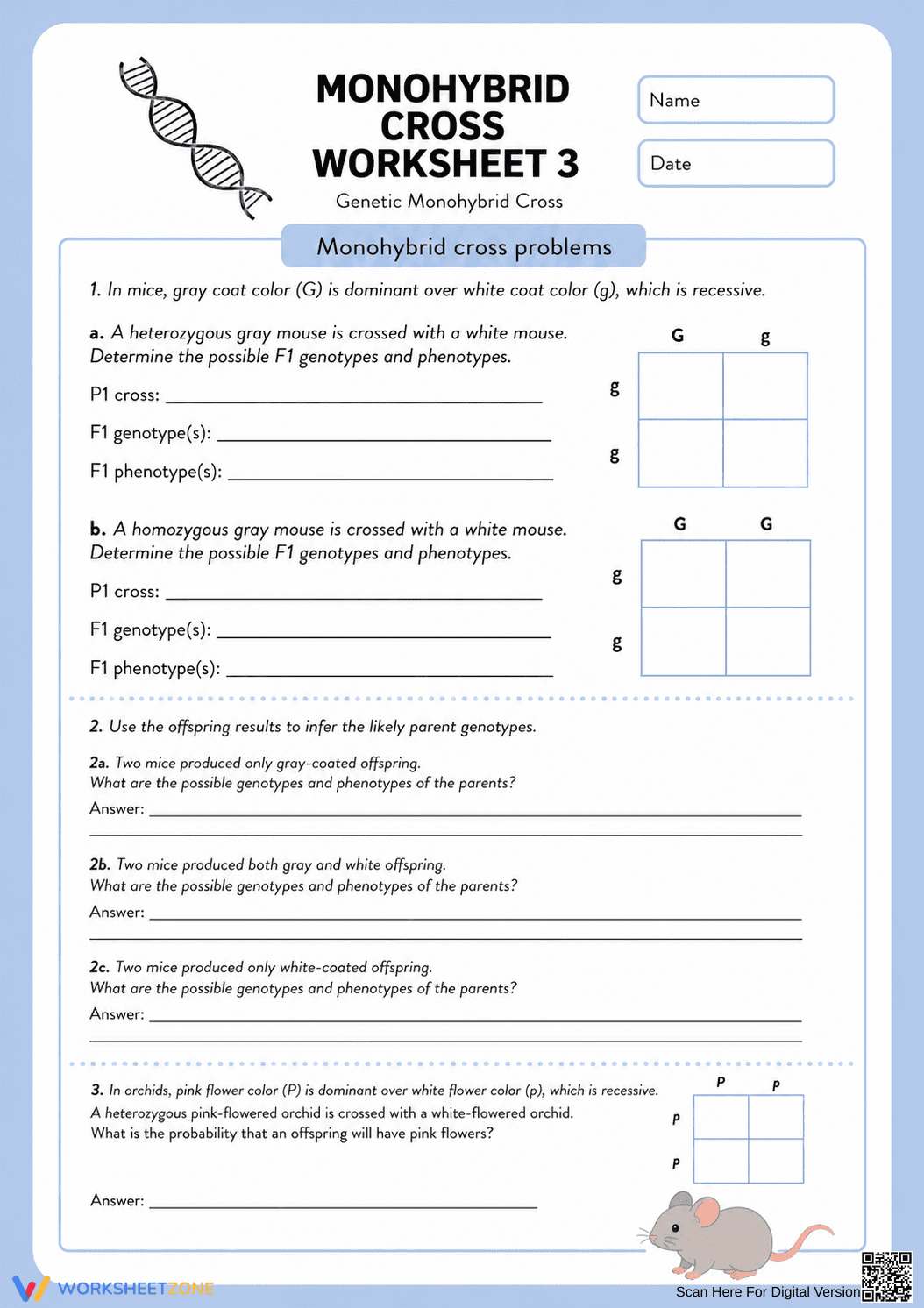 Essential Monohybrid Cross Worksheet | Grade 9-12 Biology - Page 1