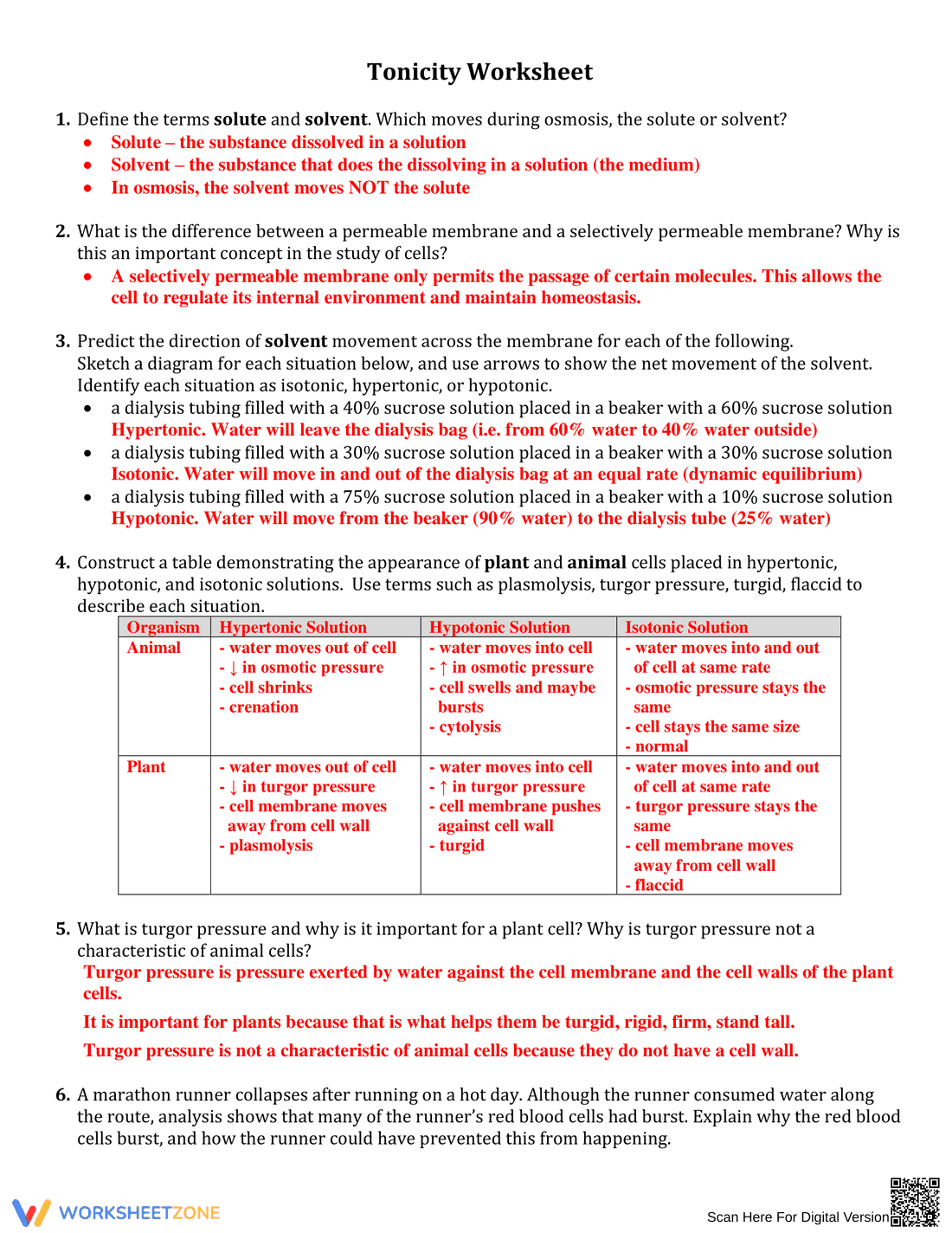 Worksheet to Understand Osmosis - Page 1