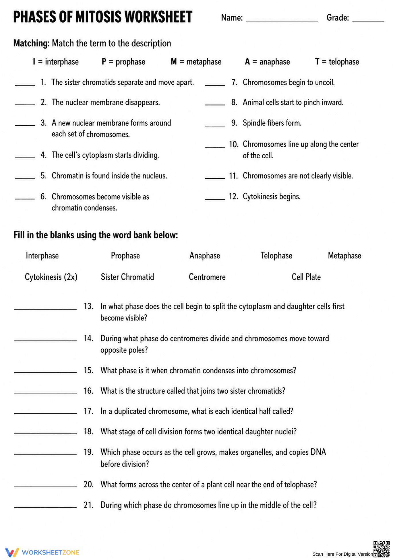 Grade 9 Mitosis Phases — Printable No-Prep Worksheet - Page 1